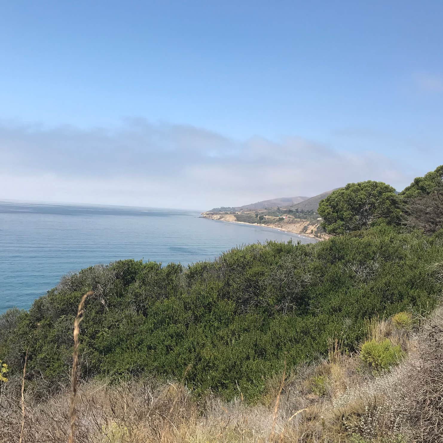 El Capitan State Beach Camping The Dyrt