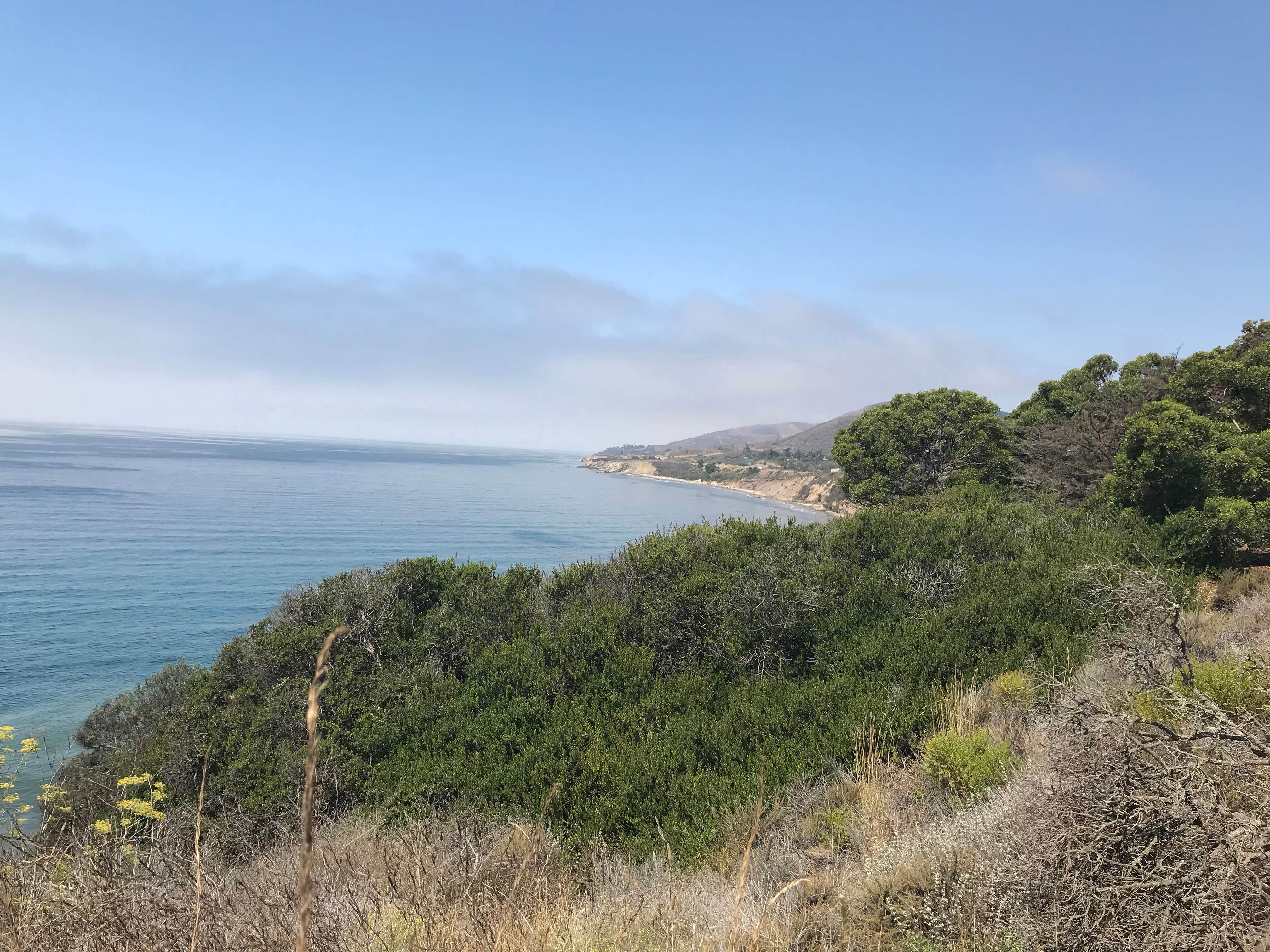 Camper submitted image from El Capitán State Beach Campground - 2