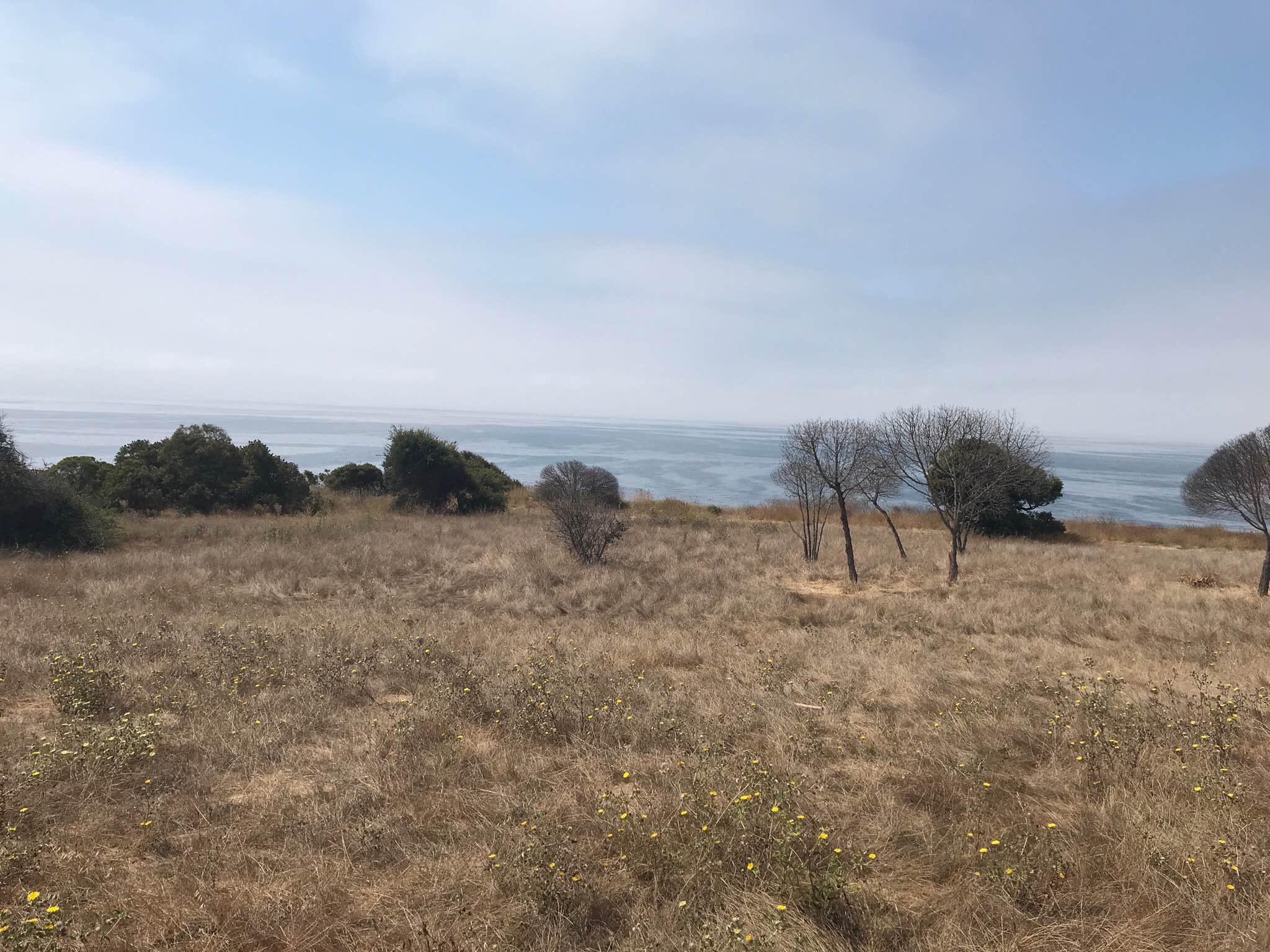 Camper-submitted photo at El Capitán State Beach Campground near Lompoc, CA