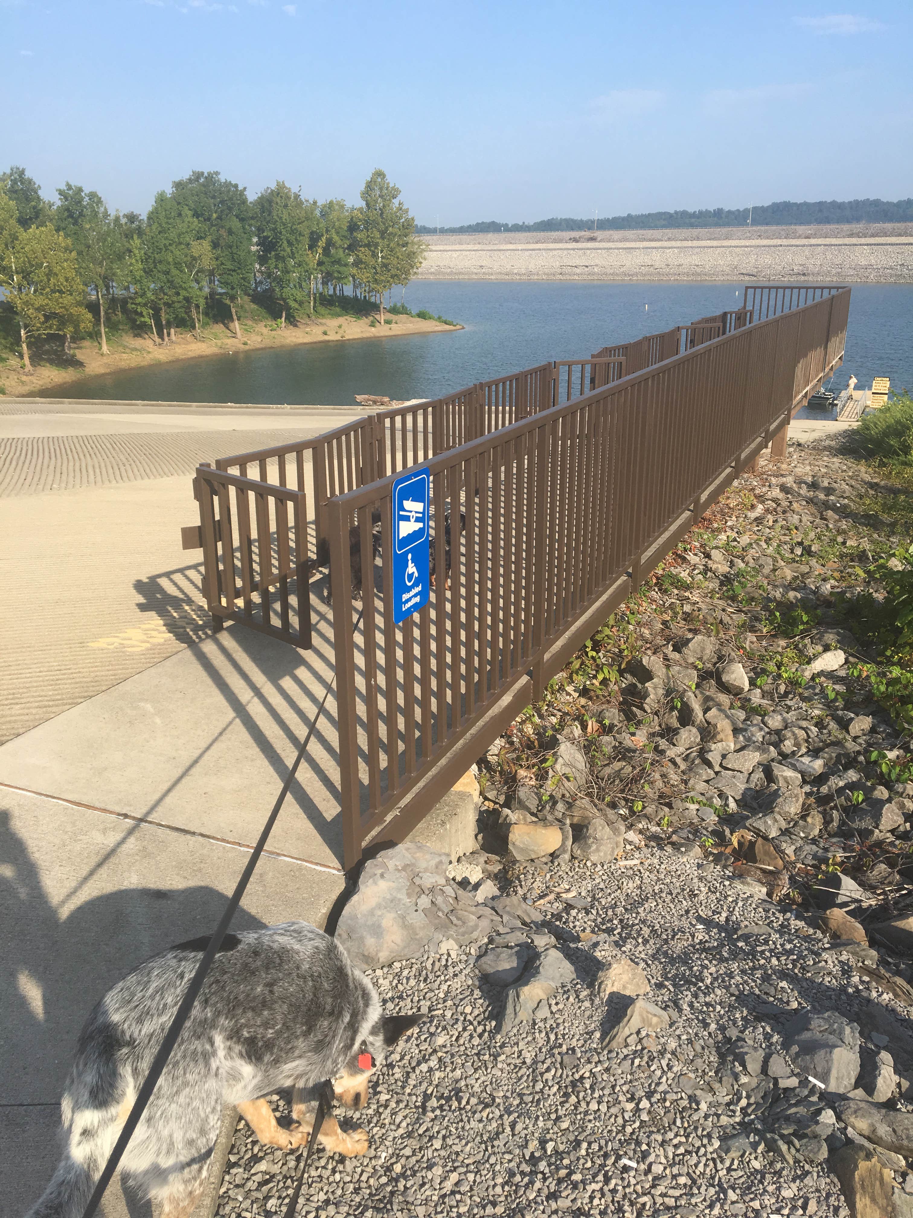 Camper submitted image from Halcombs Landing - 4