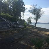 Review photo of Halcombs Landing by Shelly S., August 20, 2017