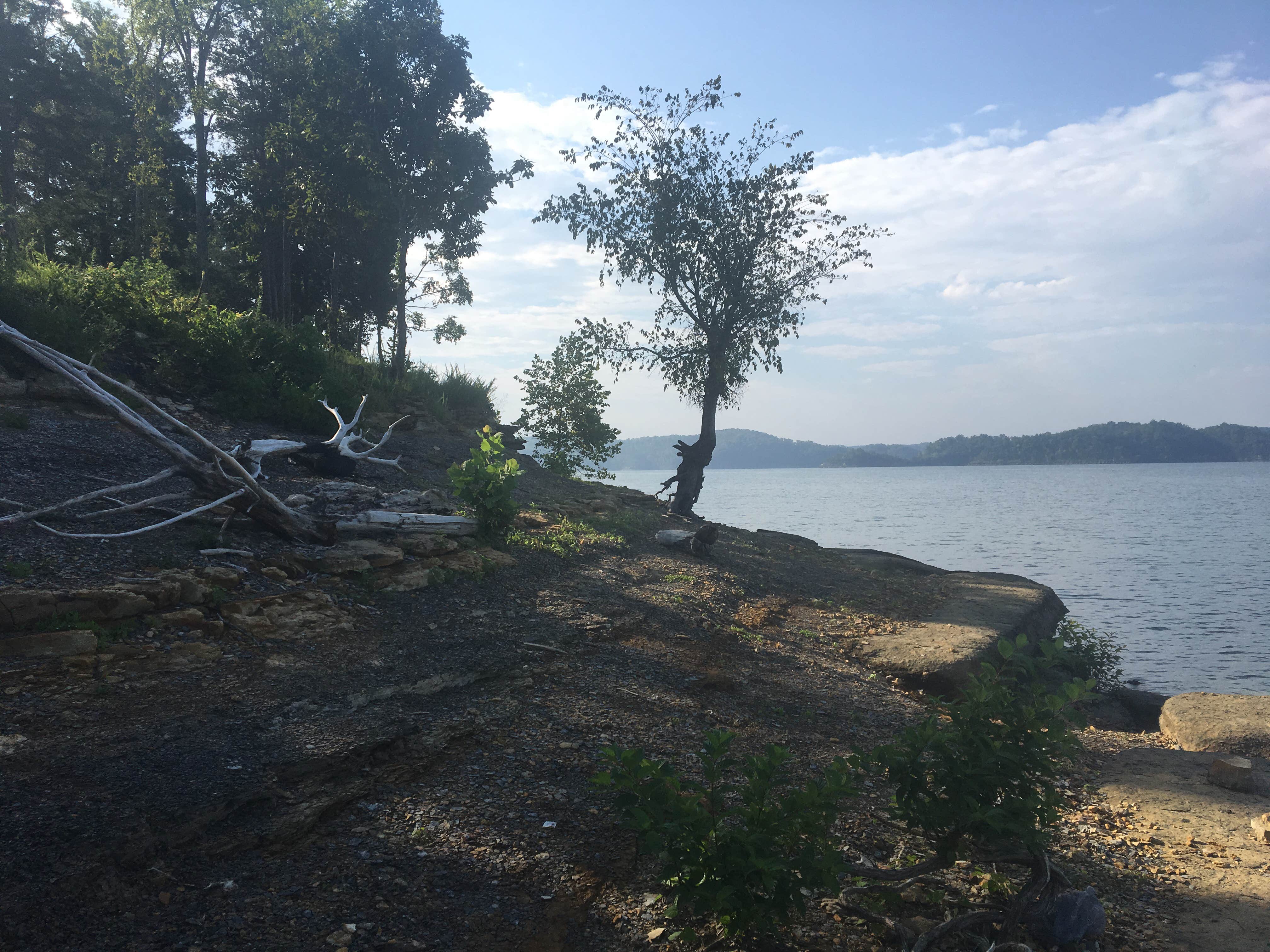 Camper submitted image from Halcombs Landing - 5