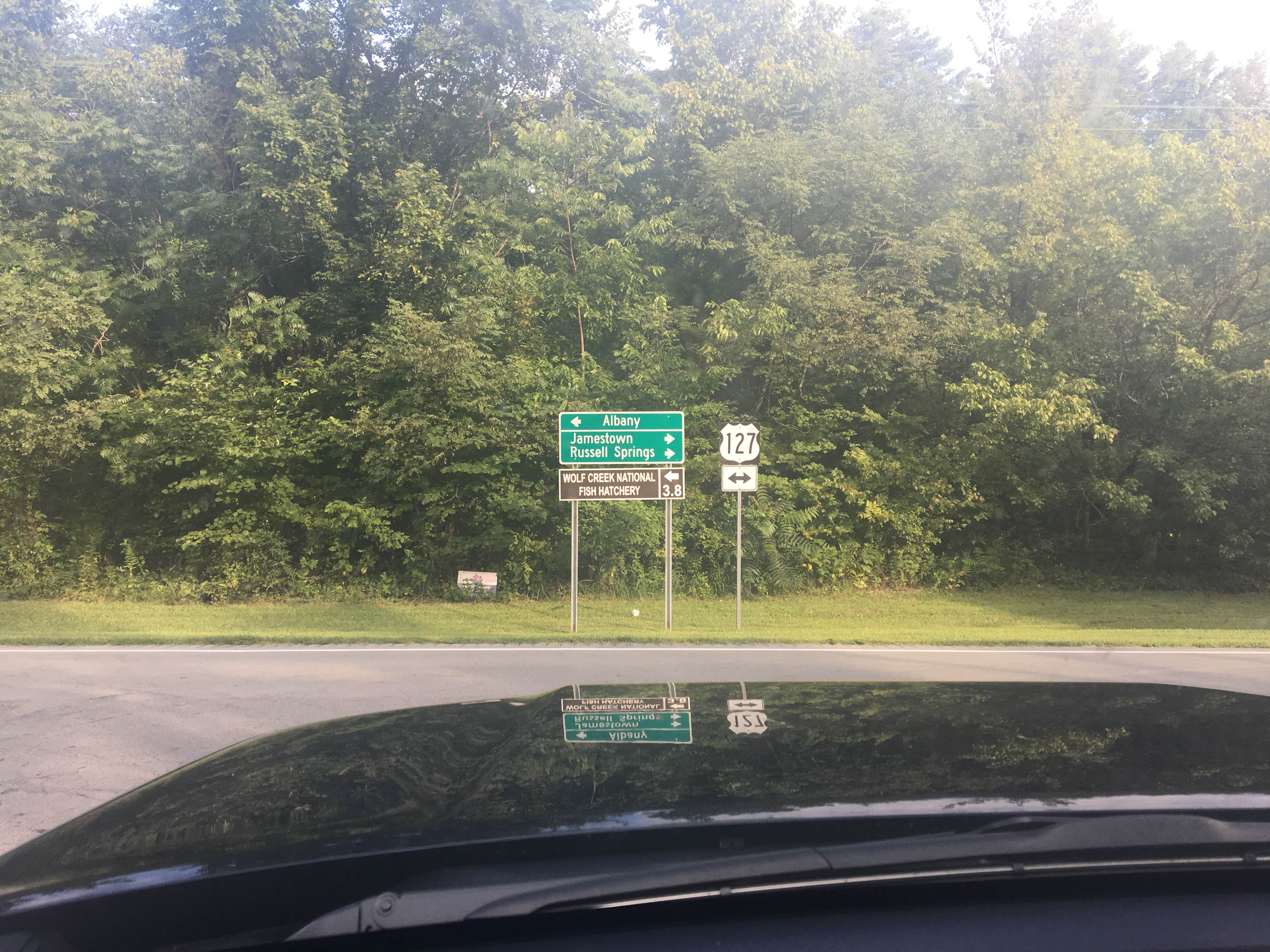 Camper submitted image from Halcombs Landing - 3