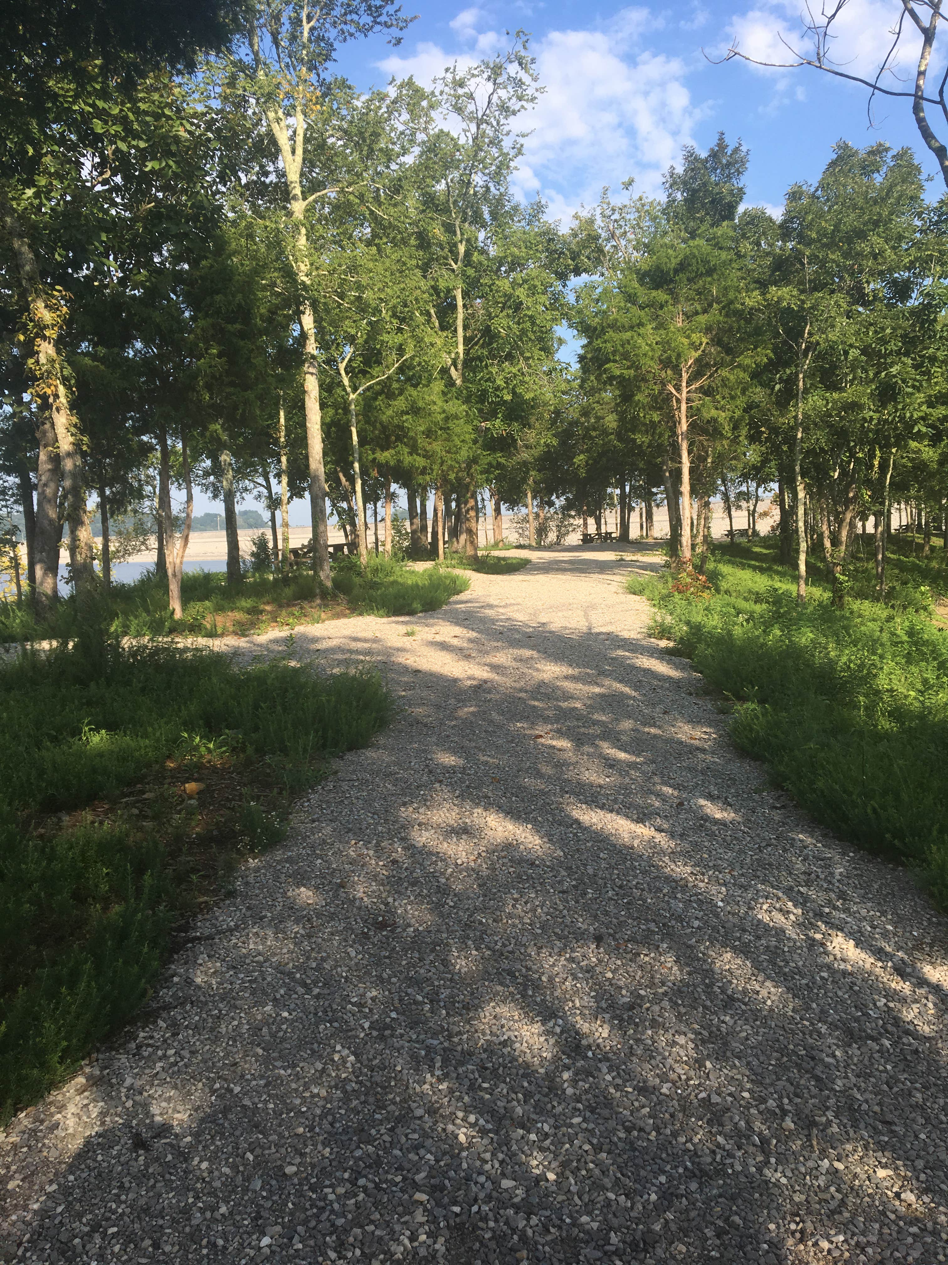 Camper-submitted photo at Halcombs Landing near Burkesville, KY