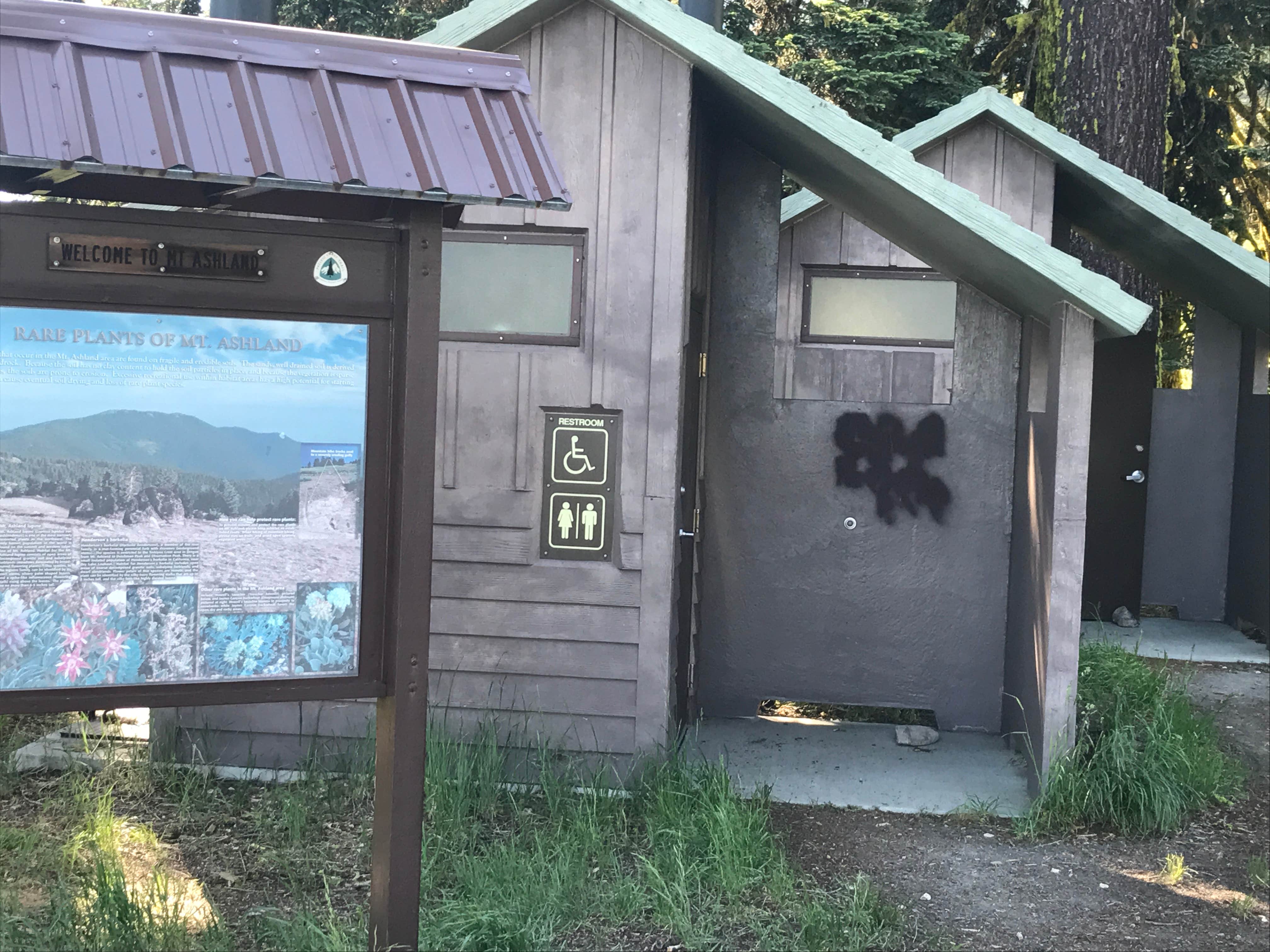 Camper submitted image from Mount Ashland Campground - 4