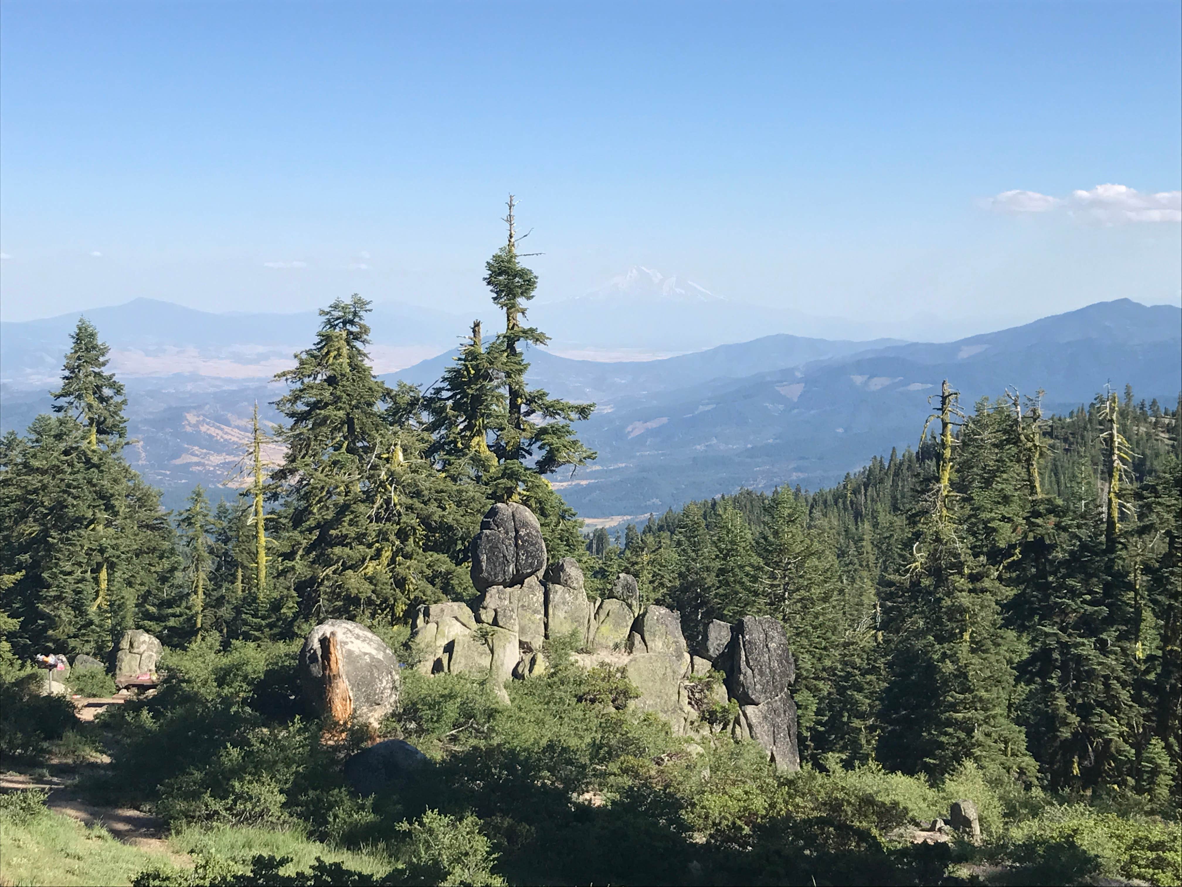 Camper submitted image from Mount Ashland Campground - 1