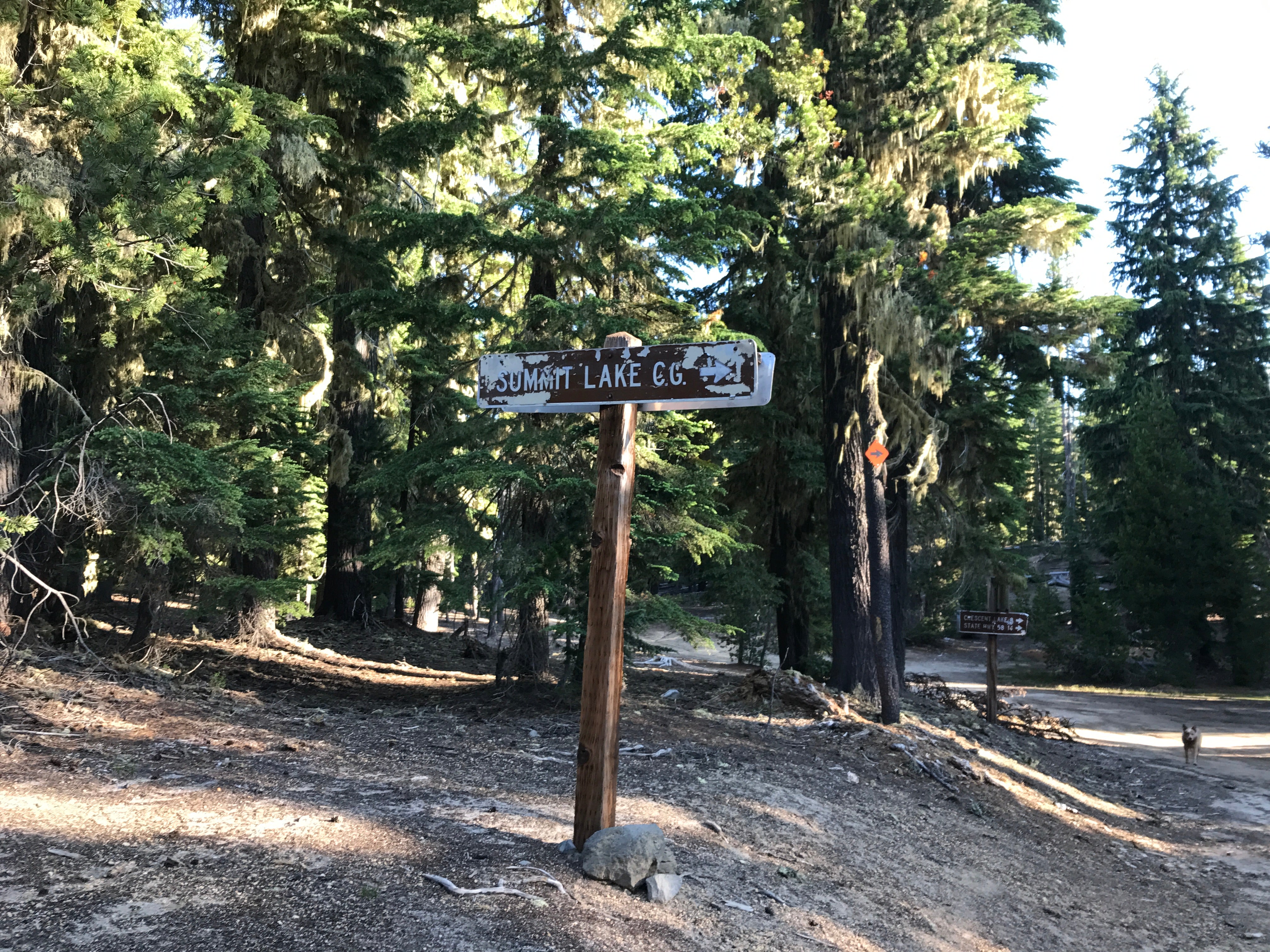 The little sign from the road indicating there is a campground close.  If you blink you can miss it.