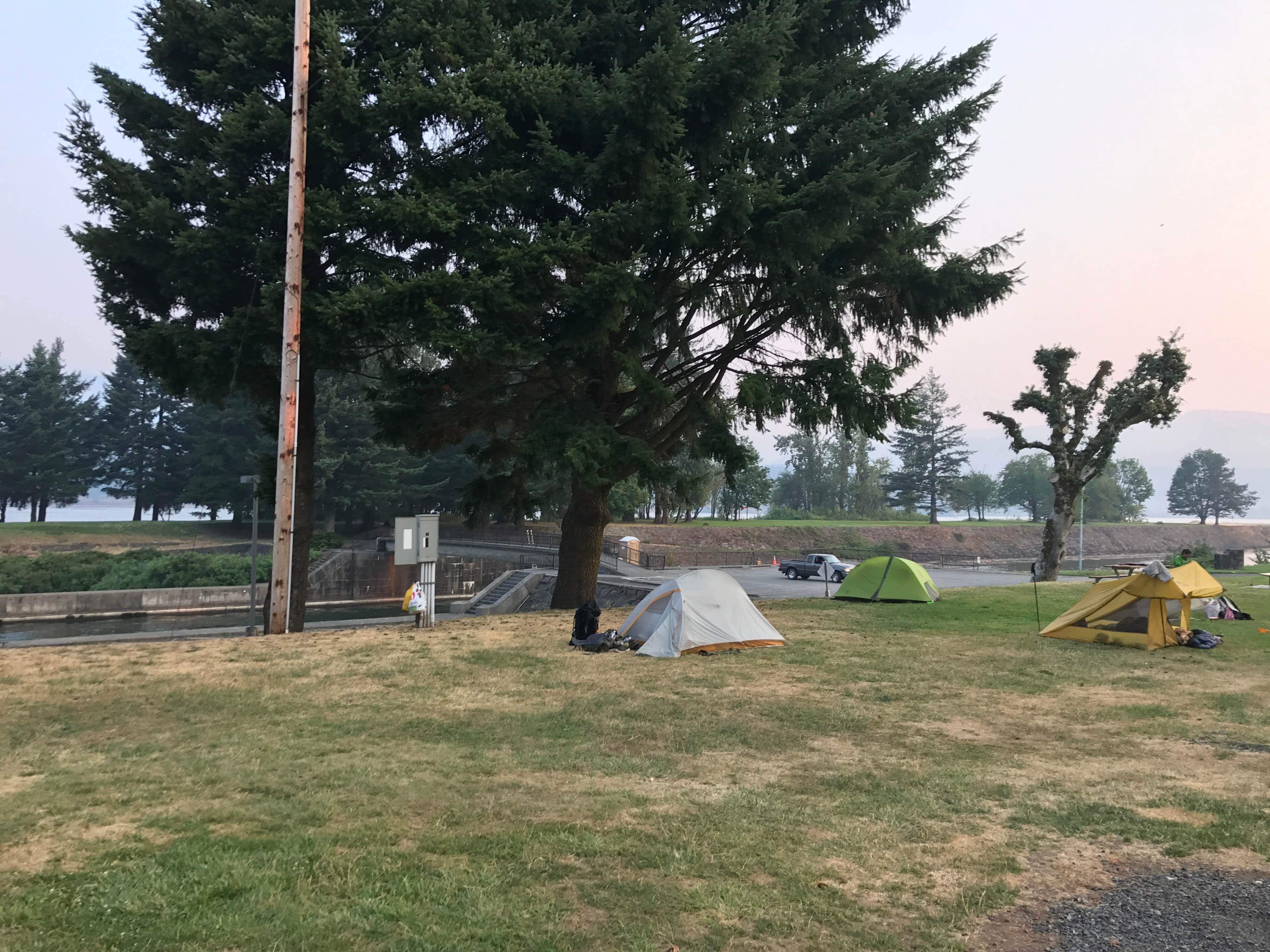 Camper submitted image from Port of Cascade Locks Campground - 4