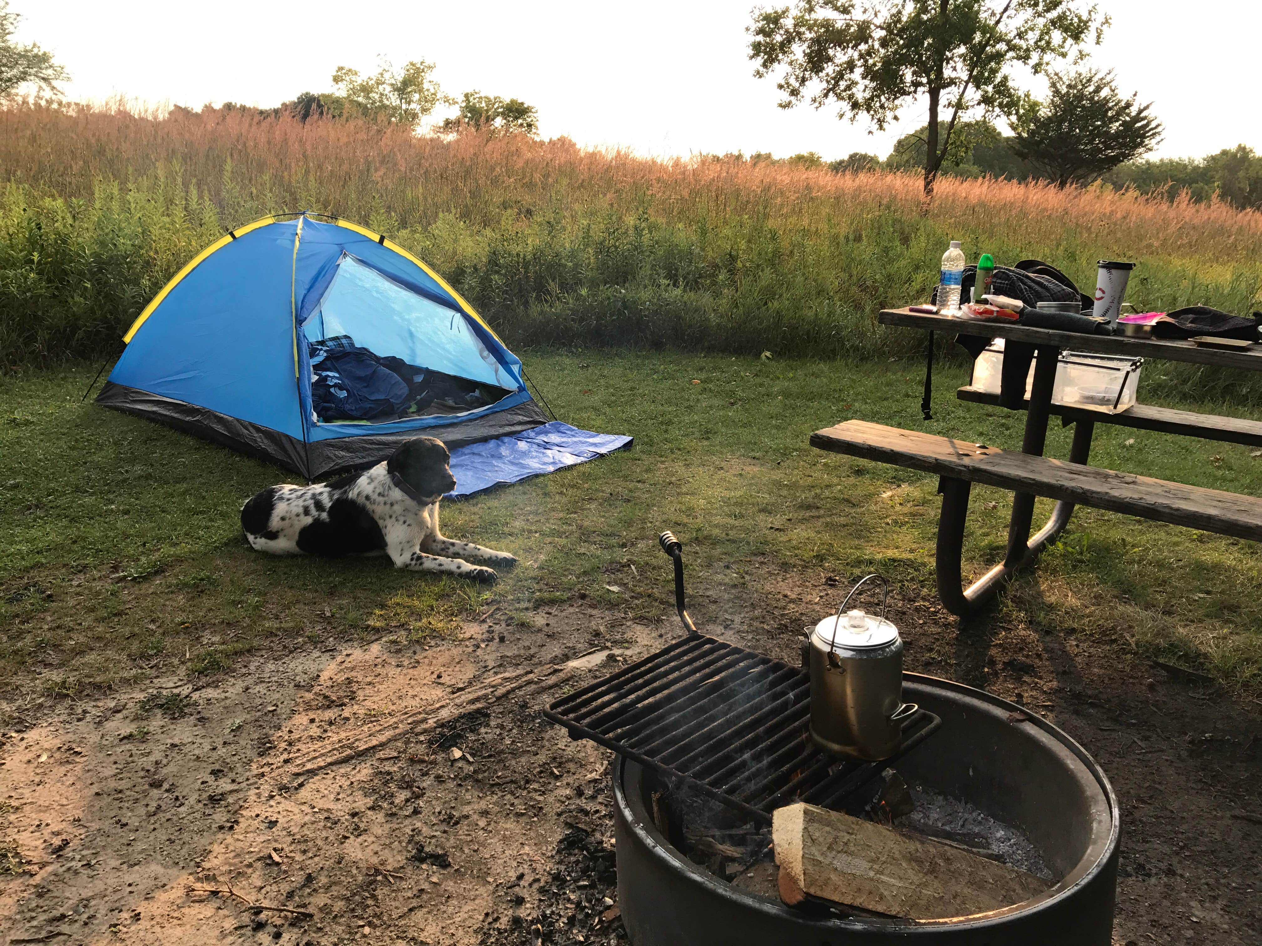 Davison N.'s photo of tent camping at Afton State Park Campground near Pepin, WI