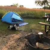 Review photo of Afton State Park Campground by Davison N., August 21, 2017