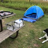 Review photo of Afton State Park Campground by Davison N., August 21, 2017