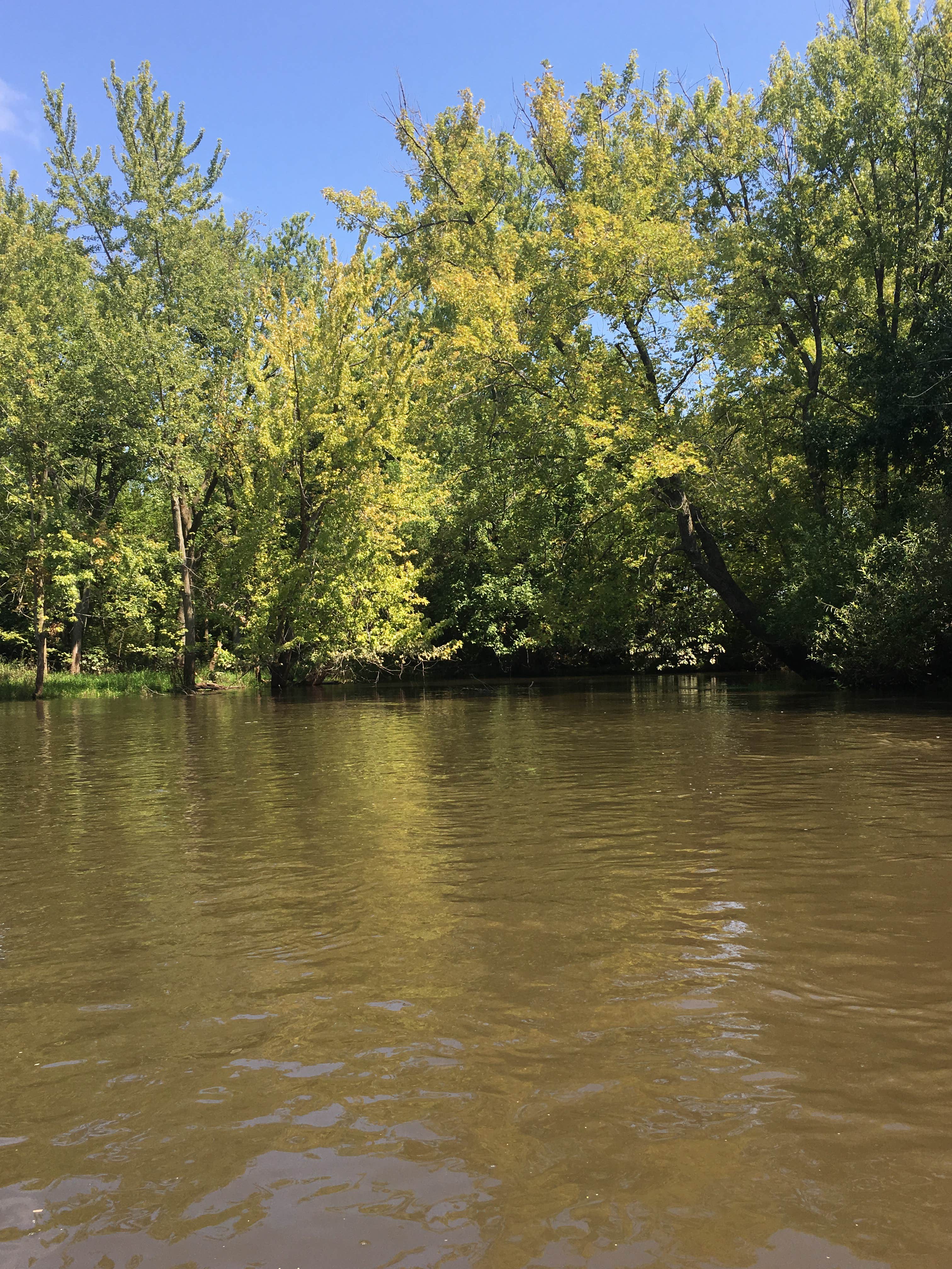 Camper submitted image from Sugar River Forest Preserve - 2