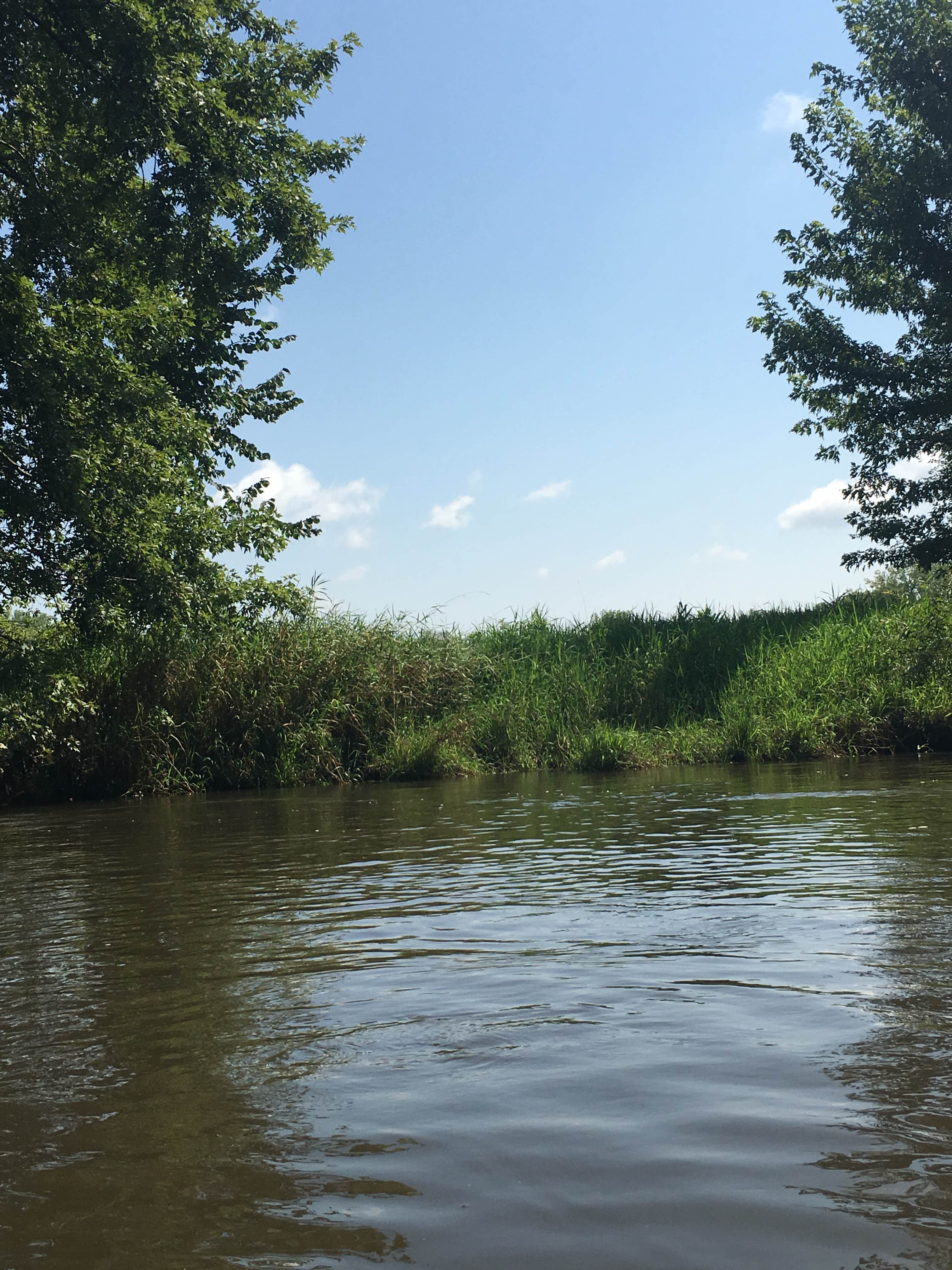 Camper-submitted photo at Sugar River Forest Preserve near Rockton, IL