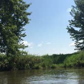 Review photo of Sugar River Forest Preserve by Melissa B., August 21, 2017