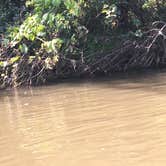 Review photo of Sugar River Forest Preserve by Melissa B., August 21, 2017