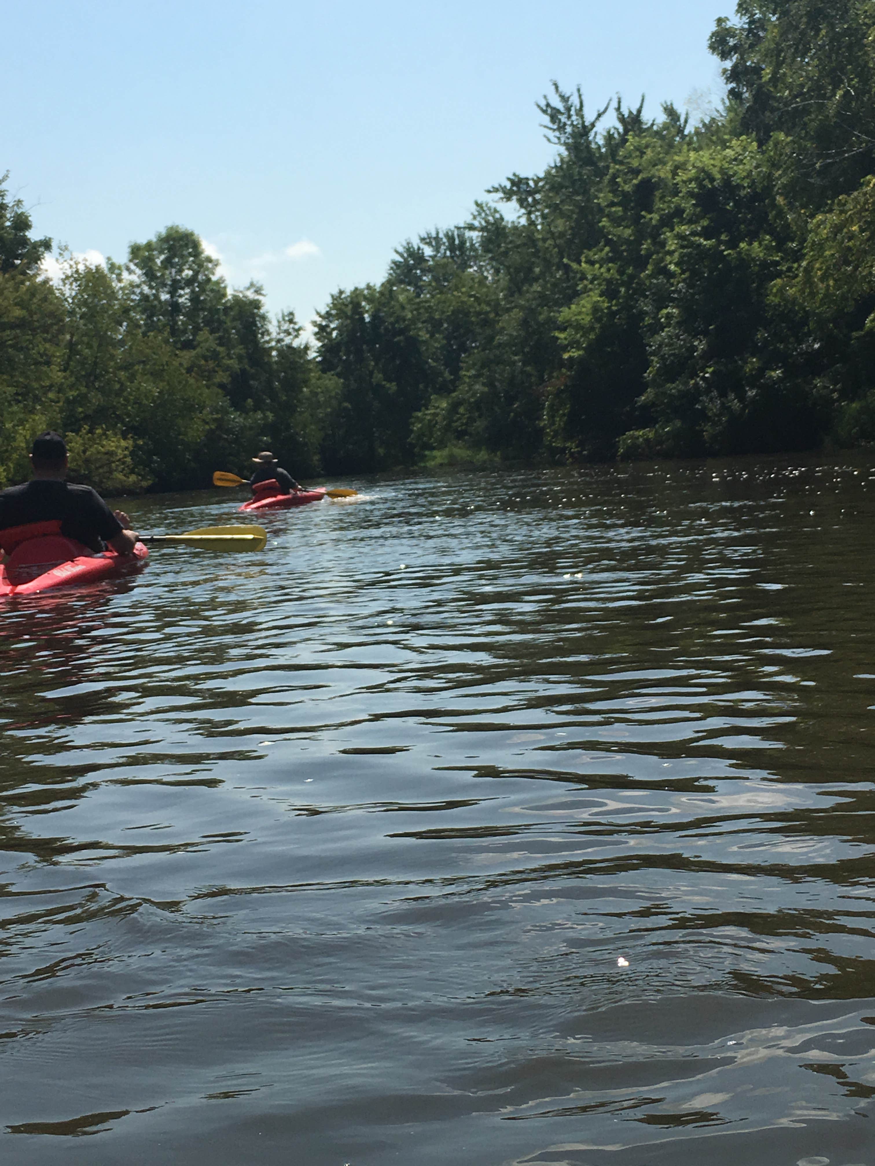 Camper submitted image from Sugar River Forest Preserve - 4