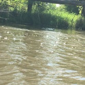 Review photo of Sugar River Forest Preserve by Melissa B., August 21, 2017