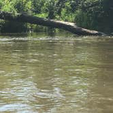 Review photo of Sugar River Forest Preserve by Melissa B., August 21, 2017
