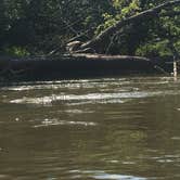 Review photo of Sugar River Forest Preserve by Melissa B., August 21, 2017