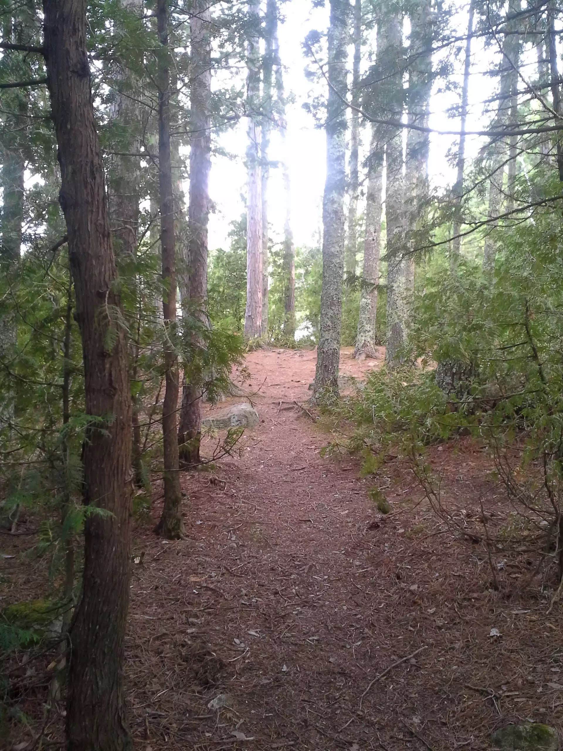 Camper-submitted photo at BWCA Lake Three near Ely, MN