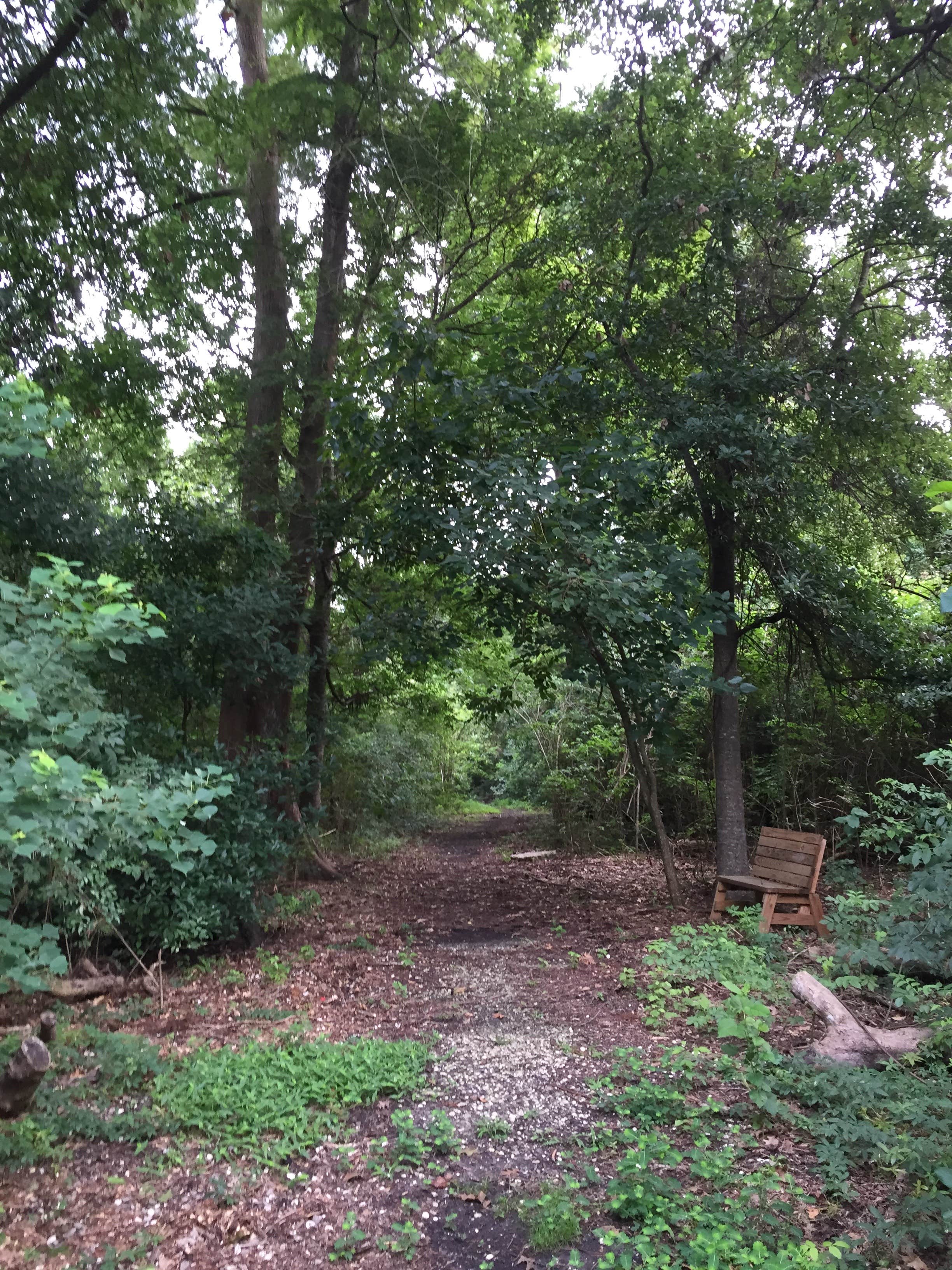Camper-submitted photo at Bayou Segnette State Park Campground in Louisiana