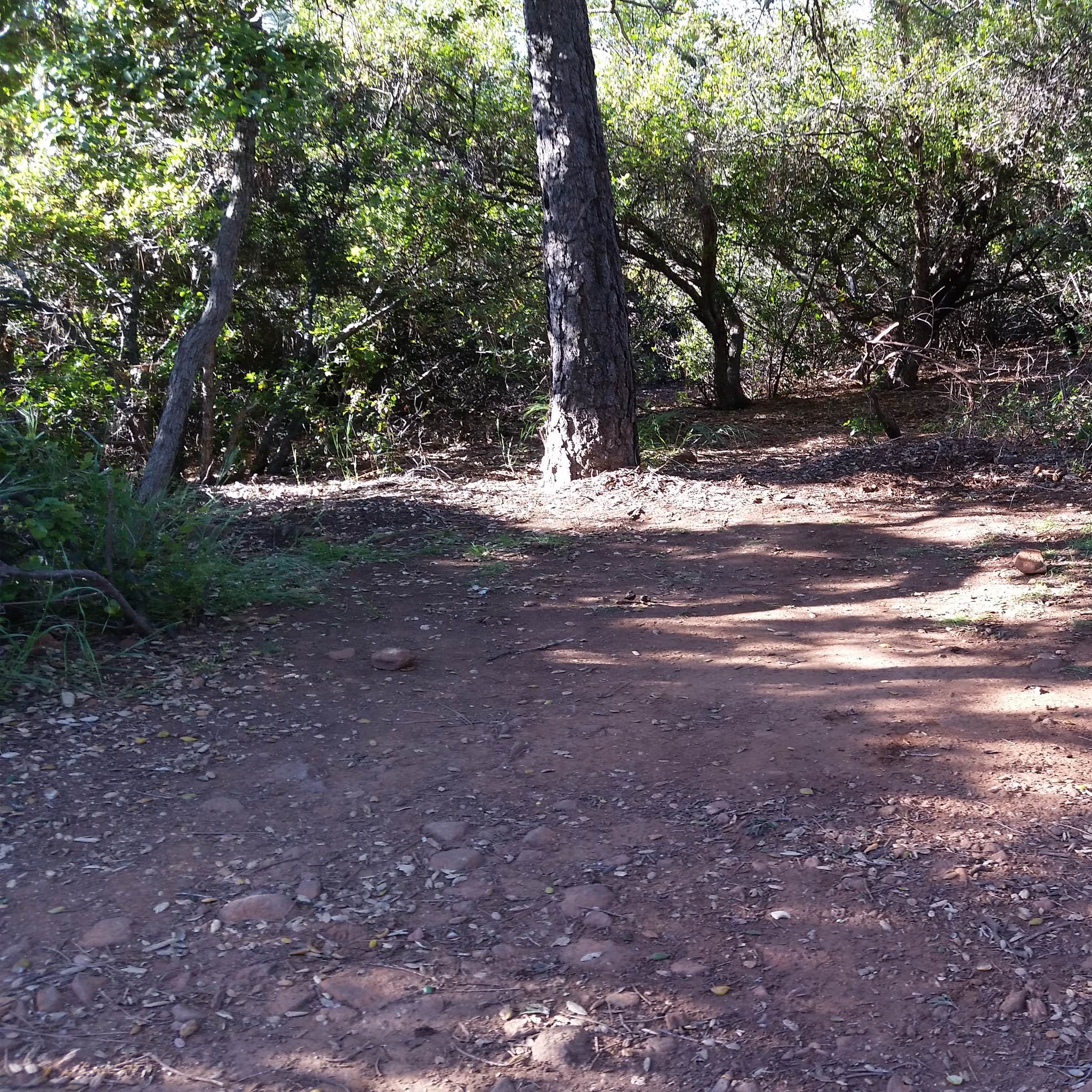 William Heise County Park Camping Julian, CA The Dyrt