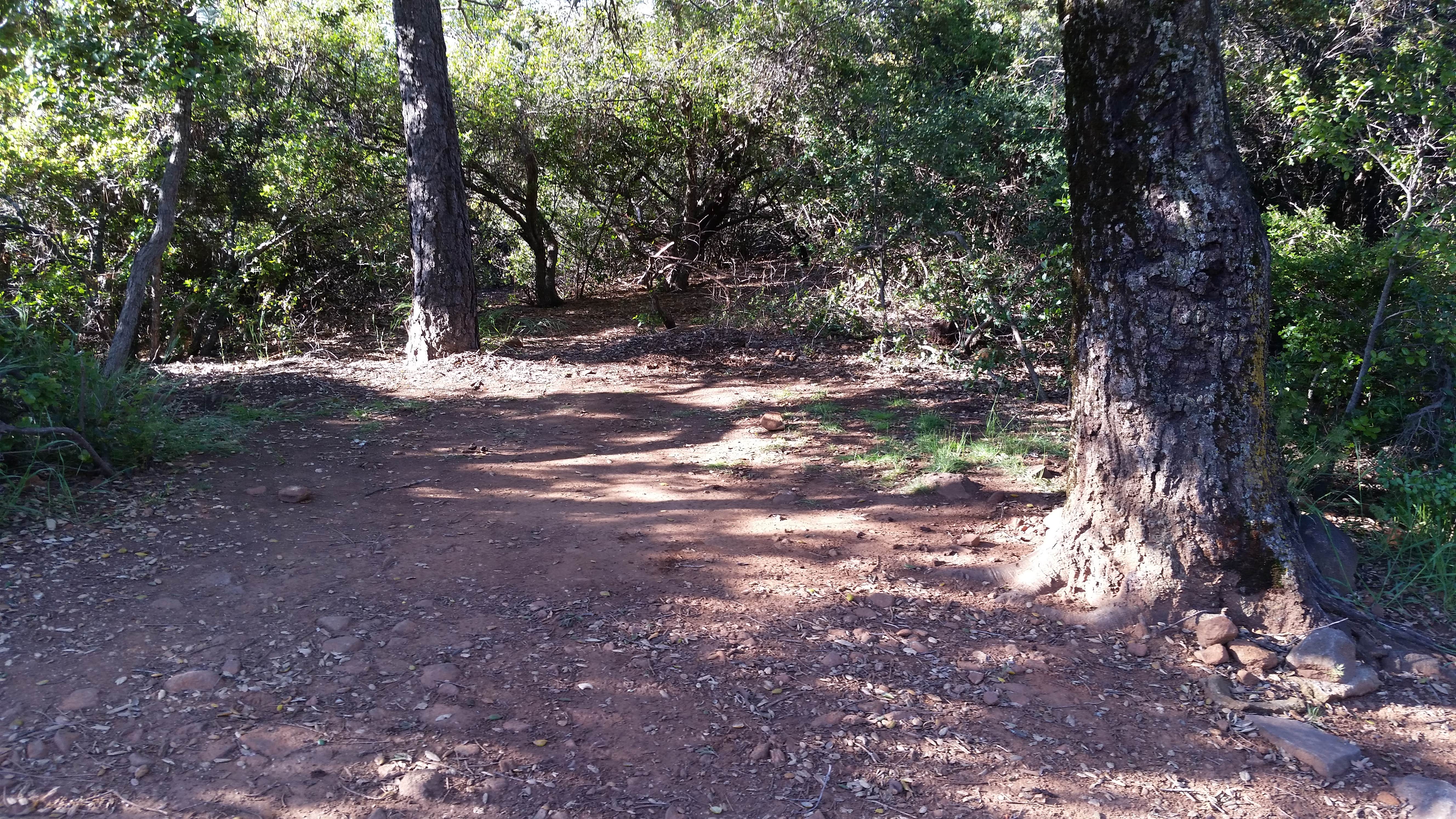 Camper submitted image from William Heise County Park - 3