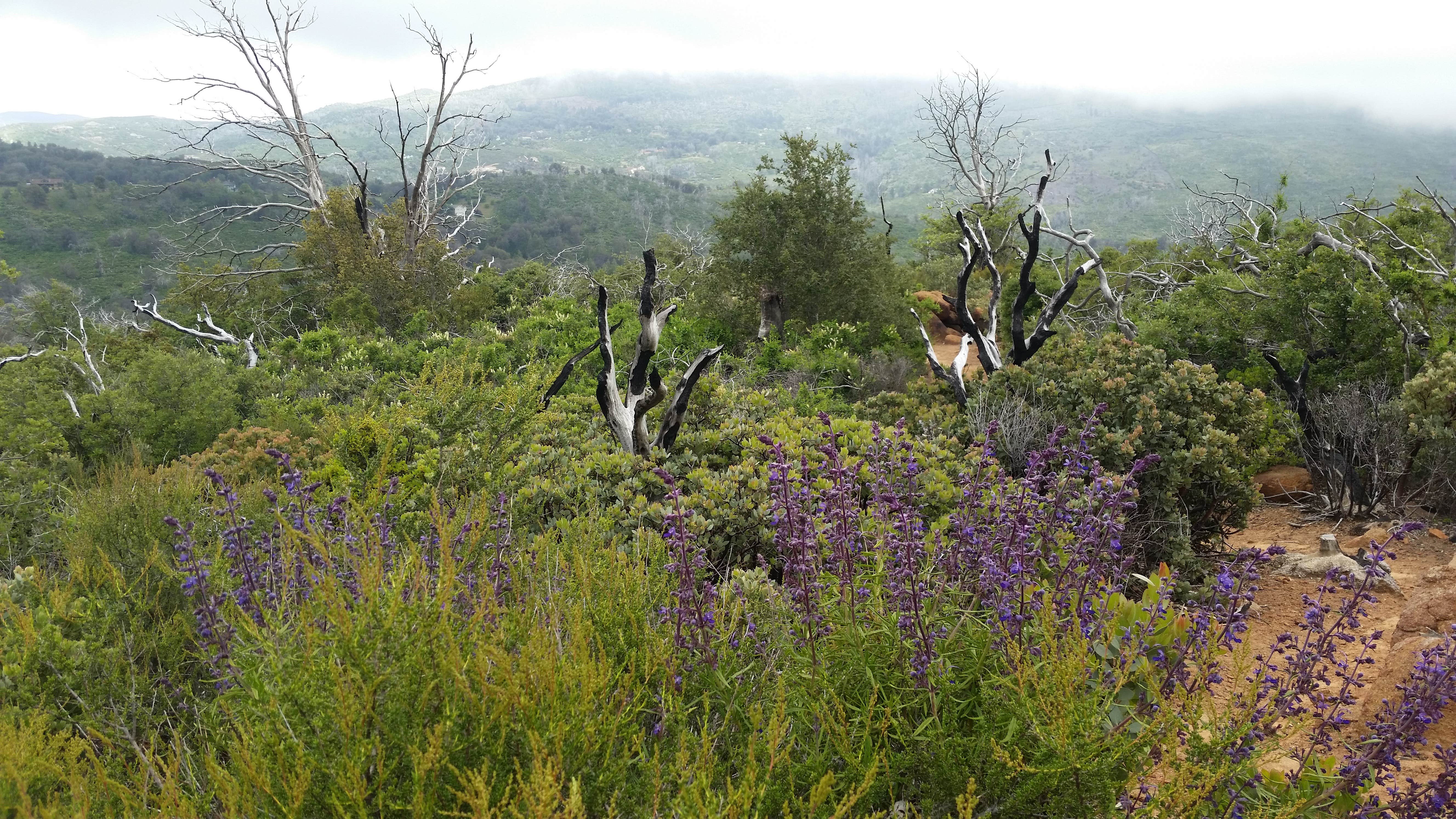 Camper-submitted photo at William Heise County Park near Bonita, CA
