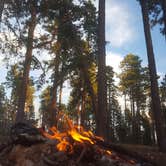 Review photo of Bear Canyon Lake and Camping Area by Krista Z., August 21, 2017
