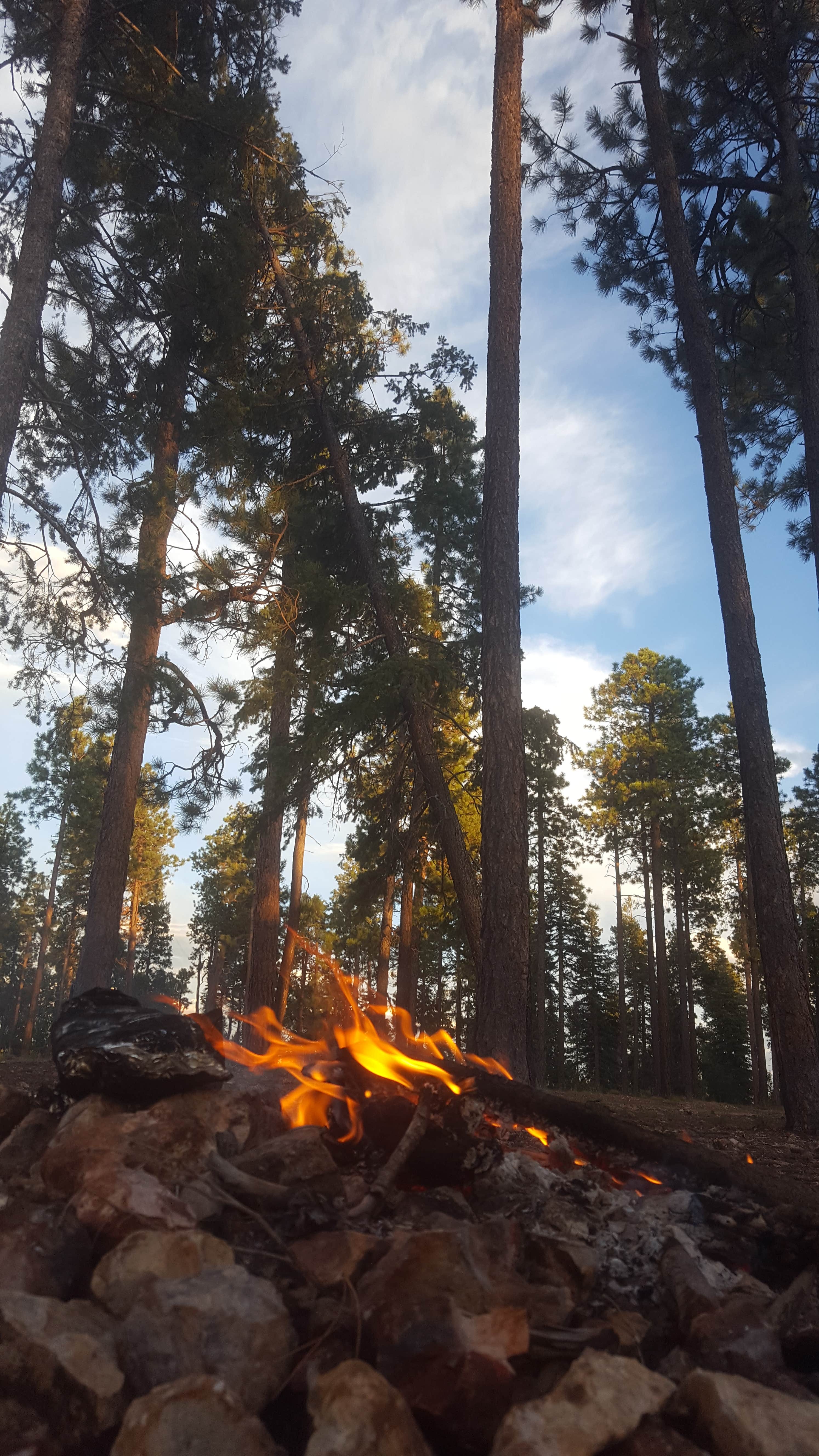 Camper submitted image from Bear Canyon Lake and Camping Area - 5