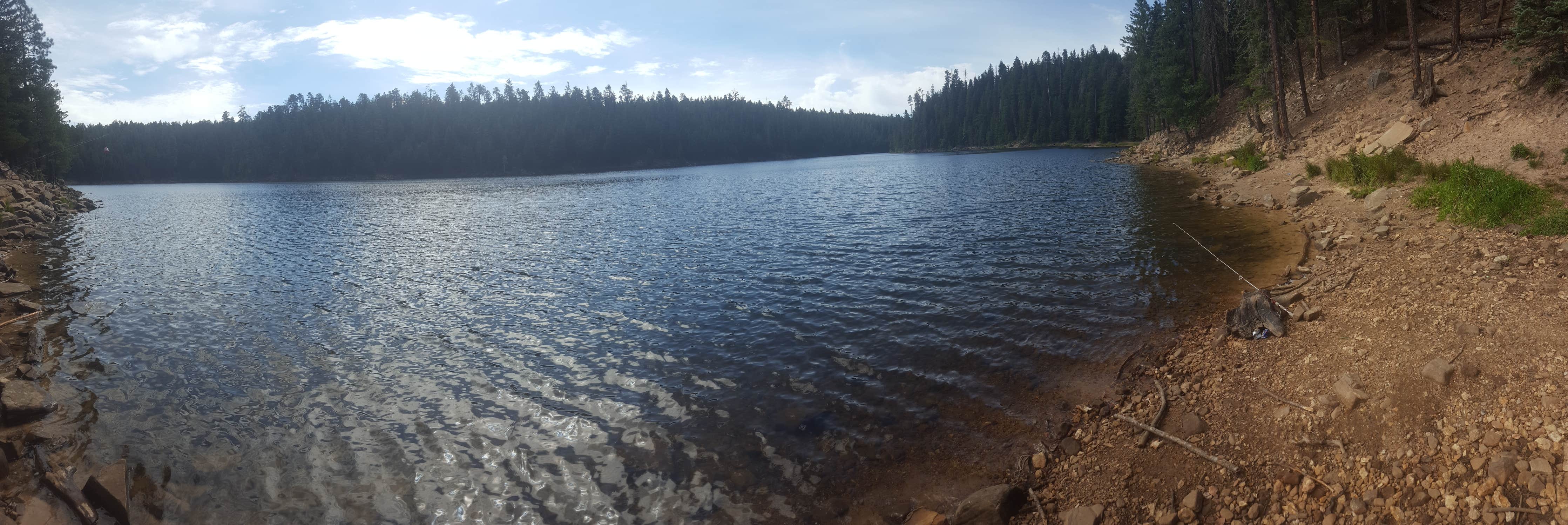 Krista Z.'s photo of a dispersed camping area at Bear Canyon Lake and Camping Area near Forest Lakes, AZ