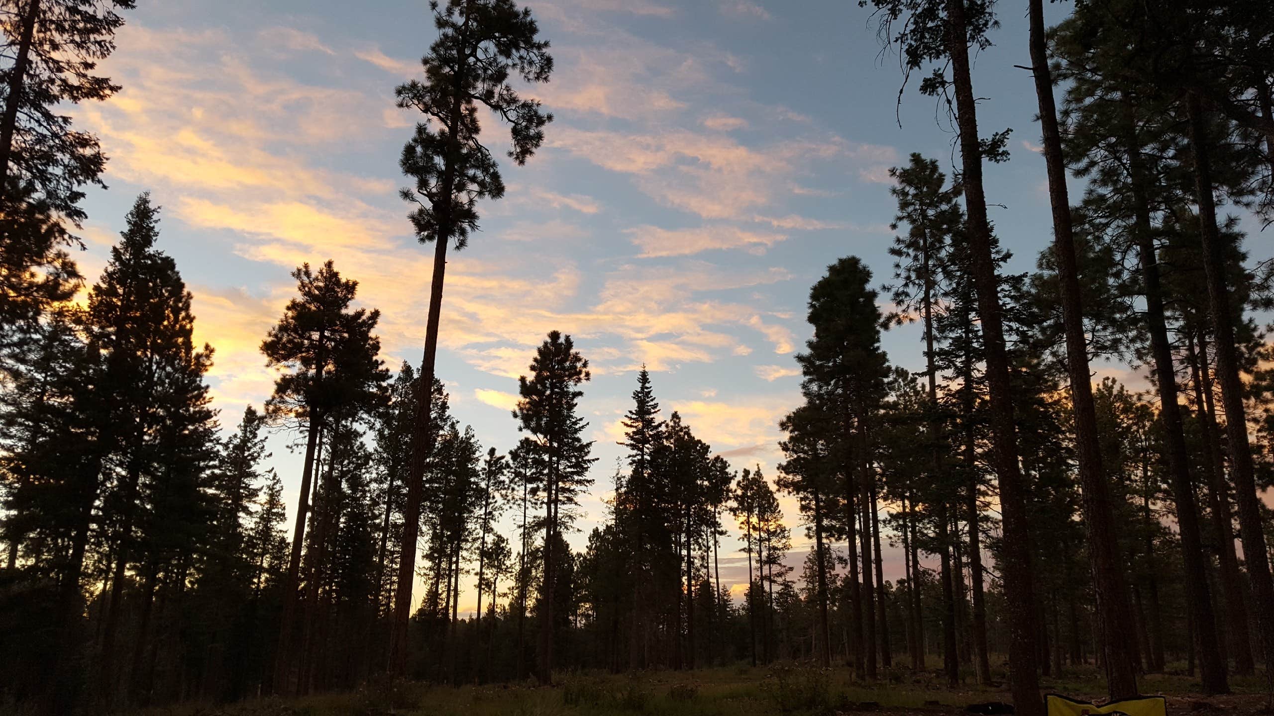 Camper submitted image from Bear Canyon Lake and Camping Area - 2