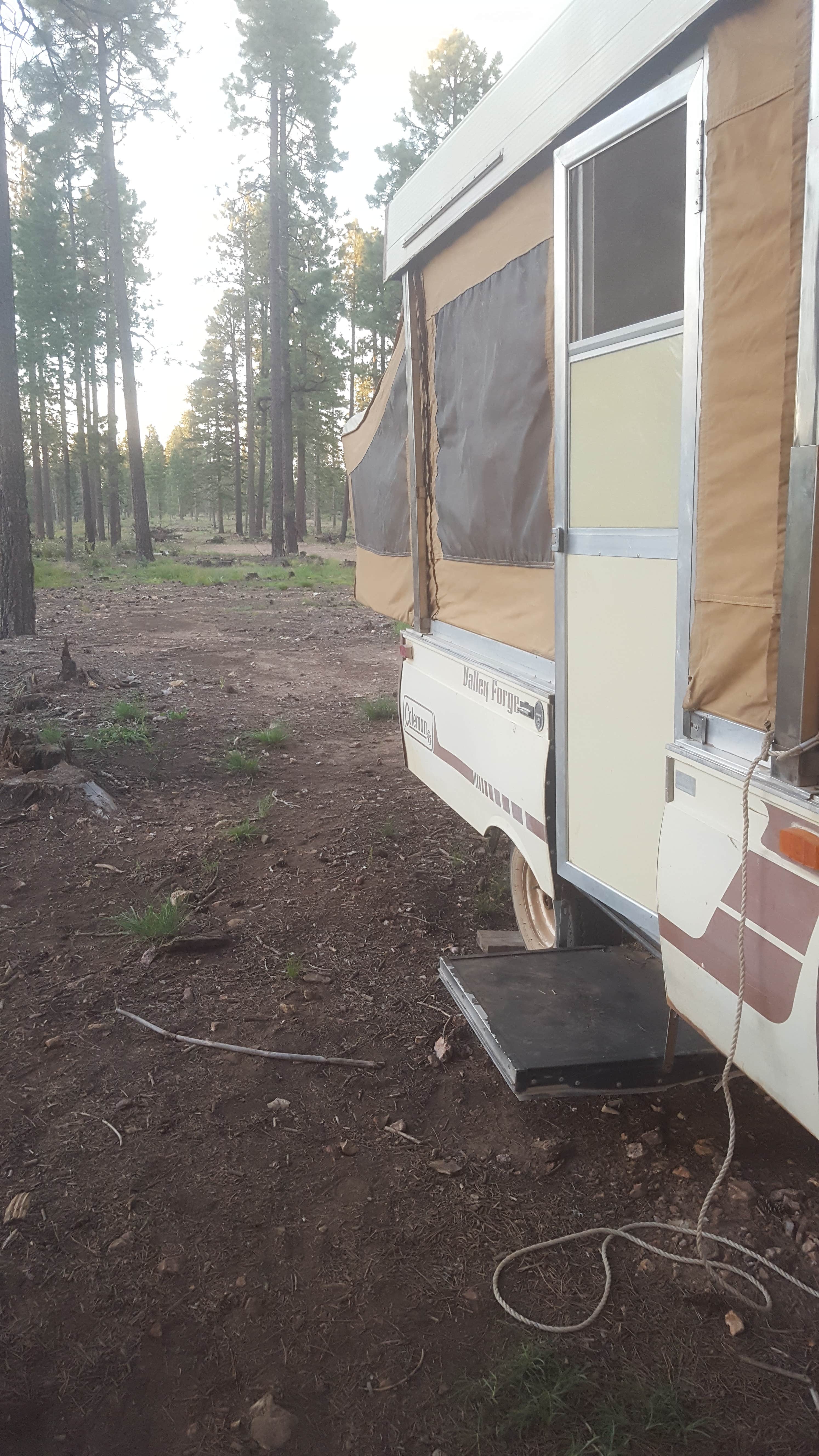 Krista Z.'s photo of rv camping at Bear Canyon Lake and Camping Area near Kohls Ranch, AZ