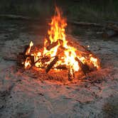 Review photo of Uwharrie Hunt Camp by Will B., August 21, 2017