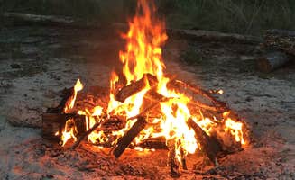 Will B.'s photo at Uwharrie Hunt Camp near Albemarle, NC