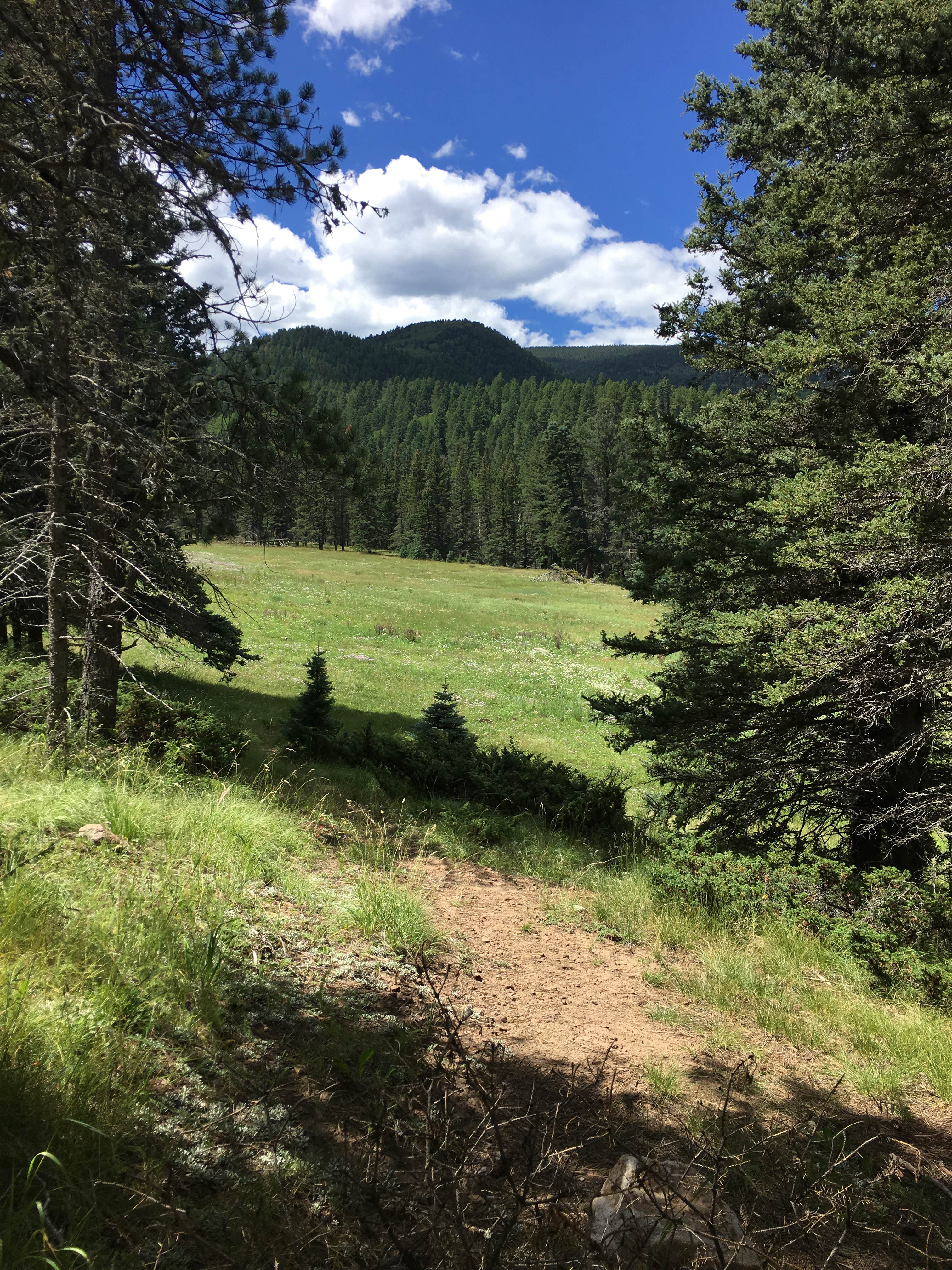 Camper-submitted photo at Agua Piedra Campground near Pecos, NM