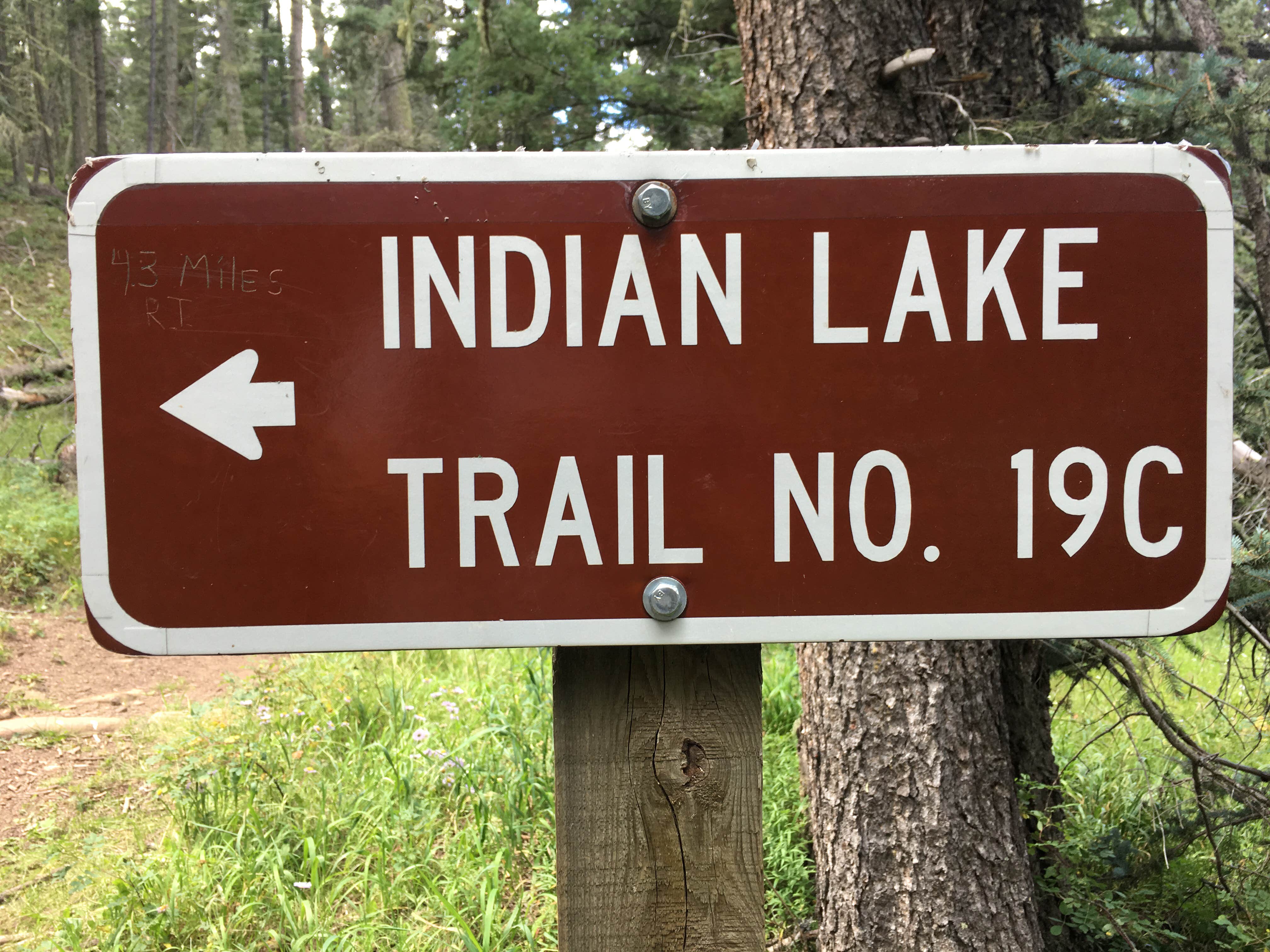 Camper submitted image from Agua Piedra Campground - 5
