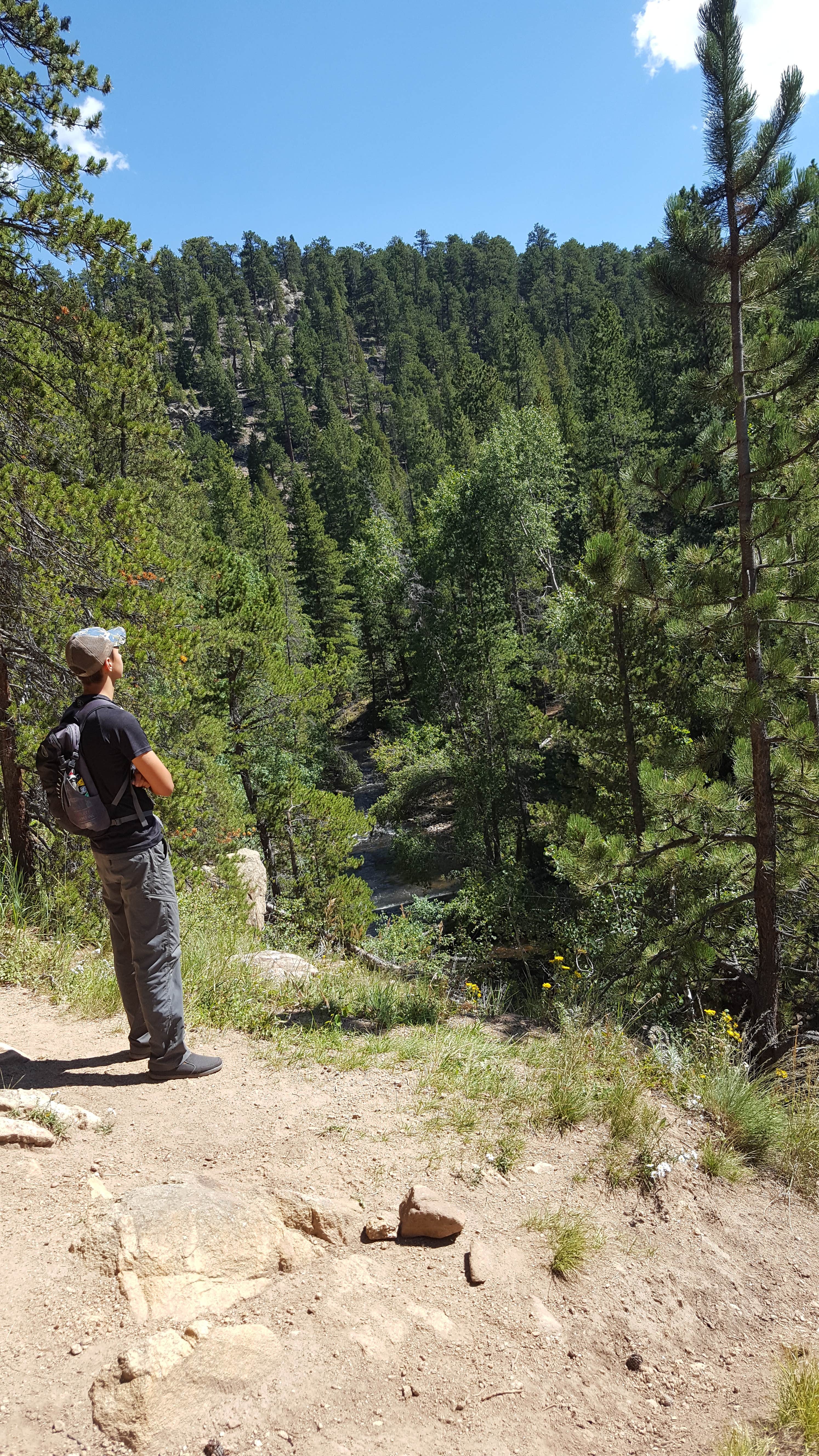 Camper submitted image from Ceran St. Vrain Trail Dispersed Camping - 3