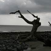 Review photo of Jekyll Island Campground by Christy C., June 29, 2016