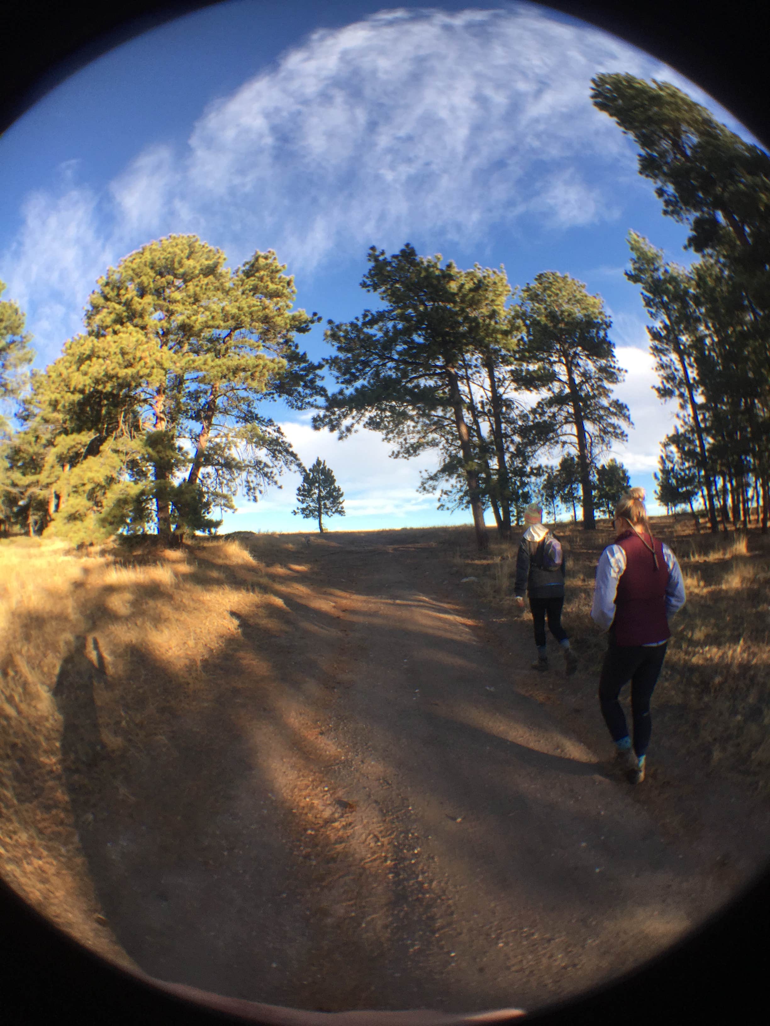 Camper submitted image from Comanche Peak View Campground - 5
