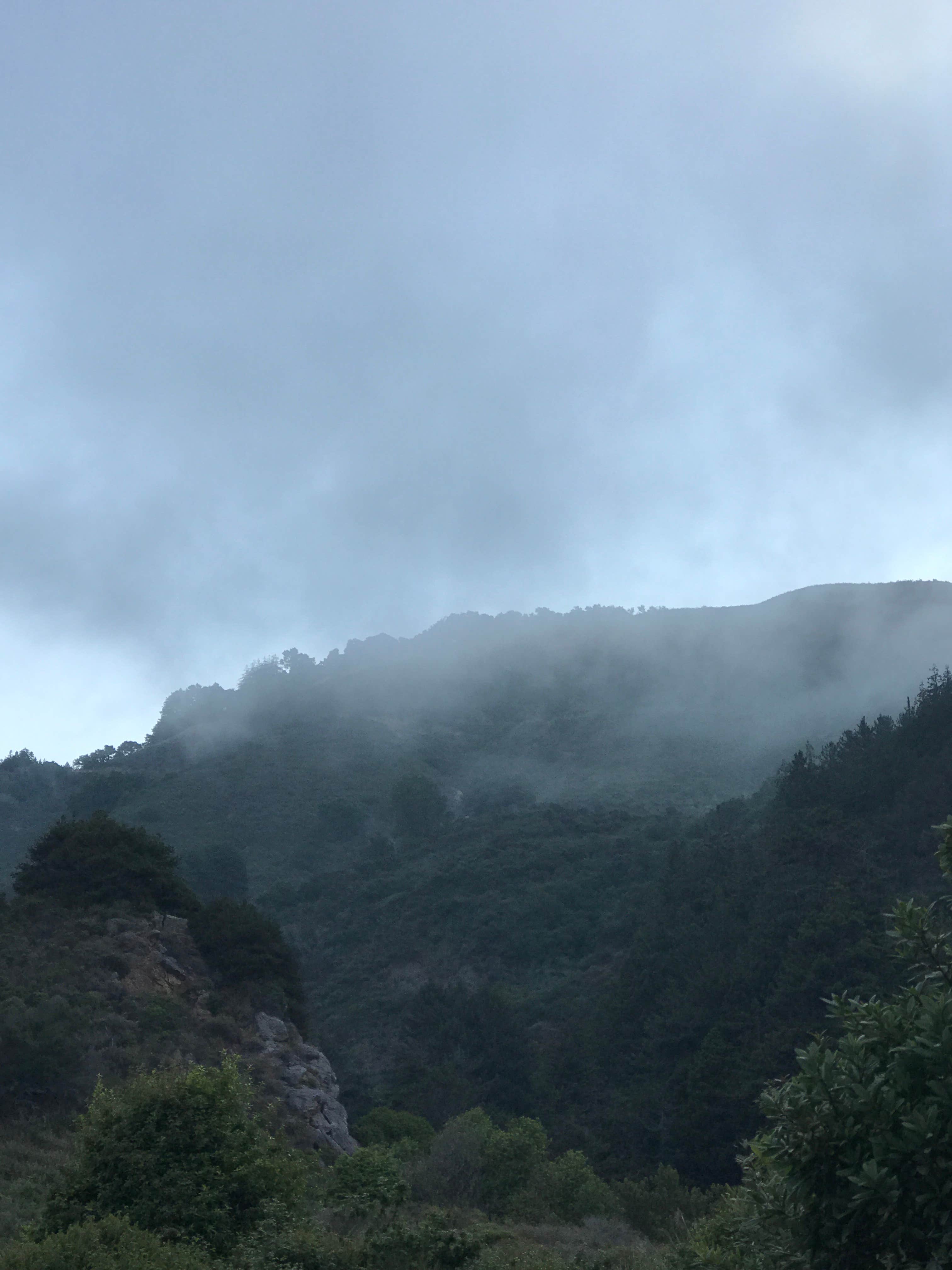 Camper-submitted photo at Kirk Creek Campground near Pinnacles National Park