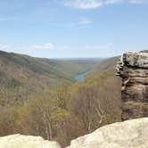 Review photo of Coopers Rock State Forest by Danielle V., August 22, 2017