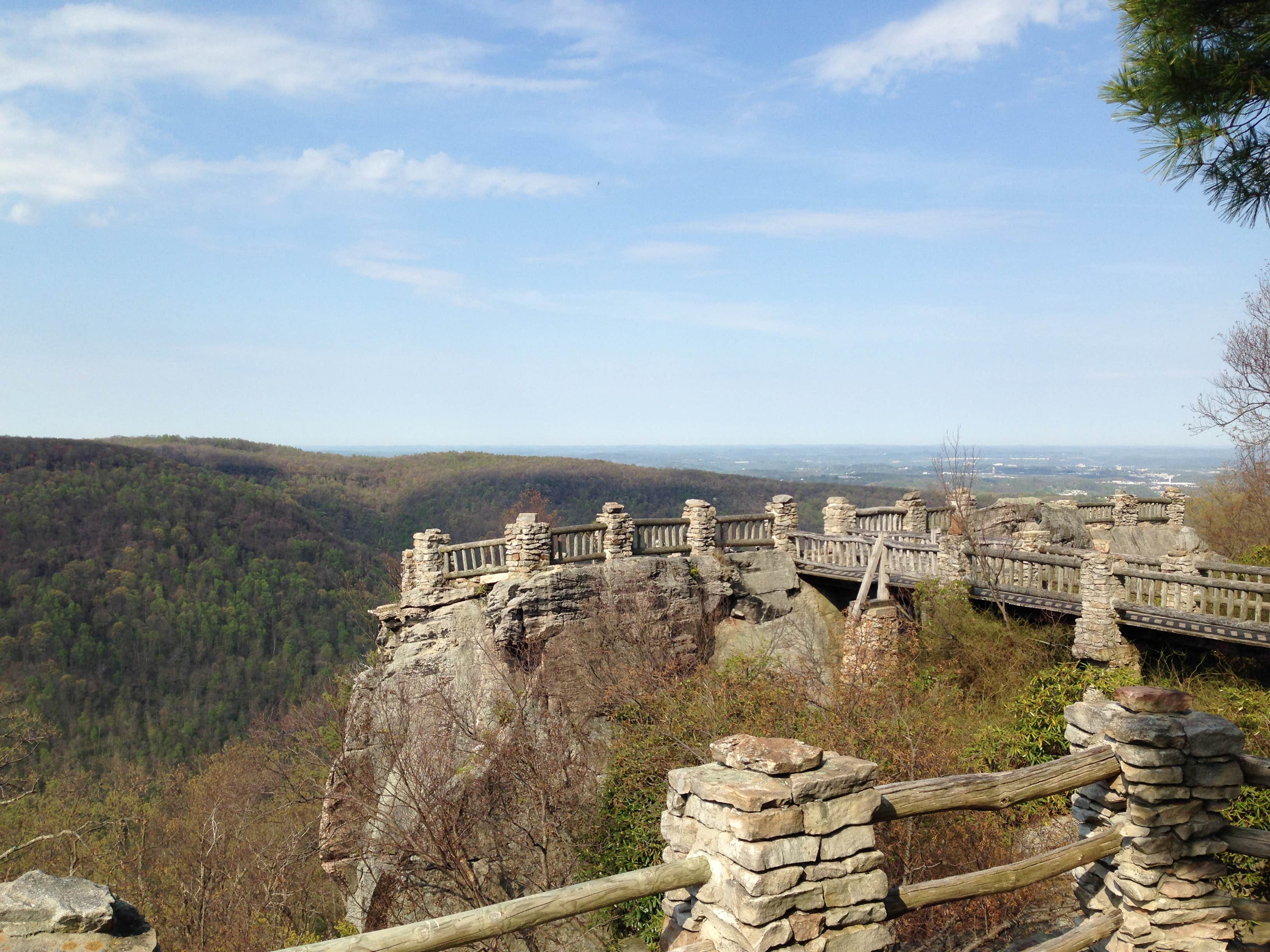 Camper submitted image from Coopers Rock State Forest - 5