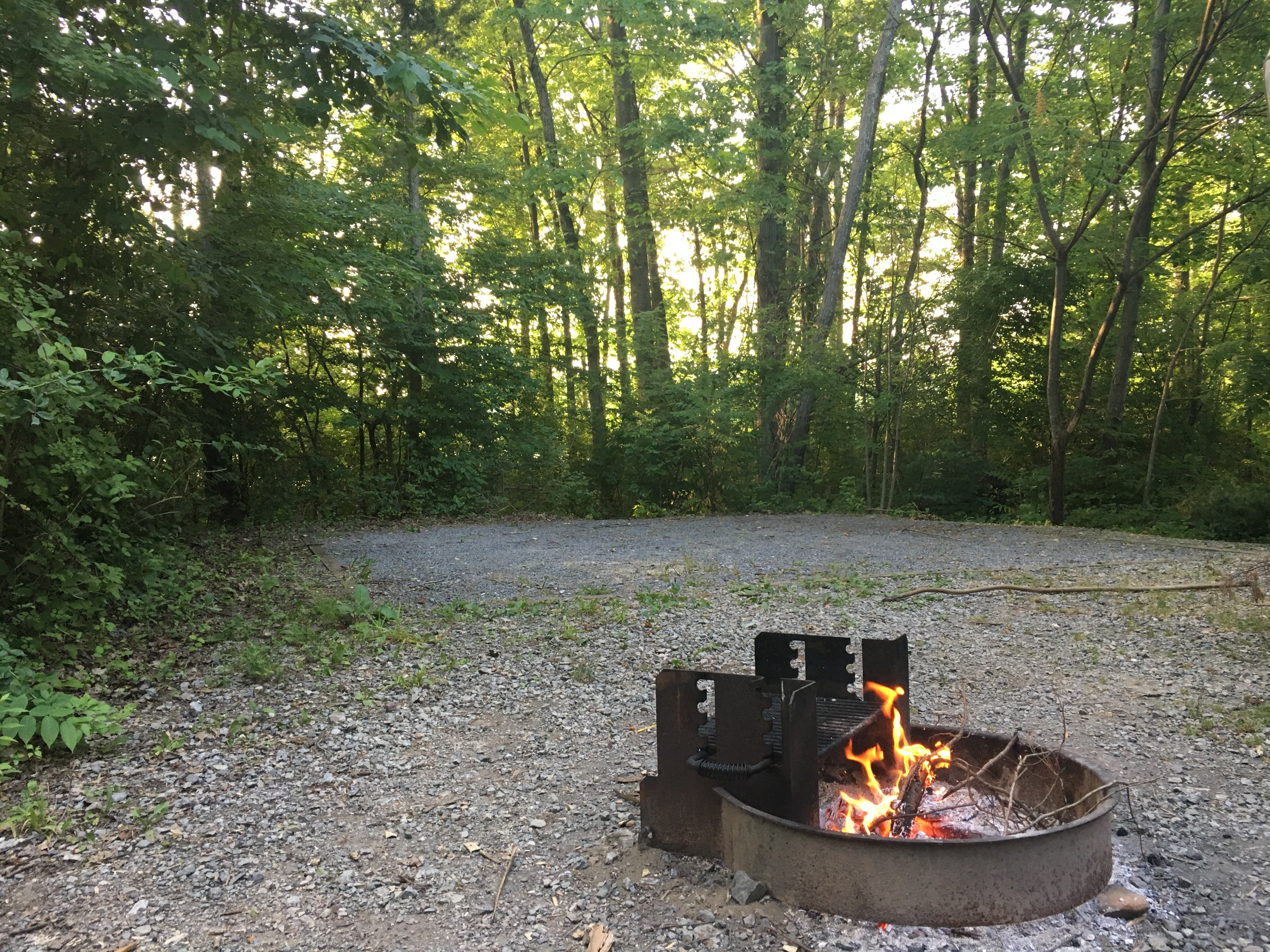 Camper submitted image from Gifford Pinchot State Park Campground - 1