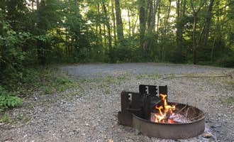 Camping near Ben Franklin RV Park: Gifford Pinchot State Park Campground, Wellsville, Pennsylvania
