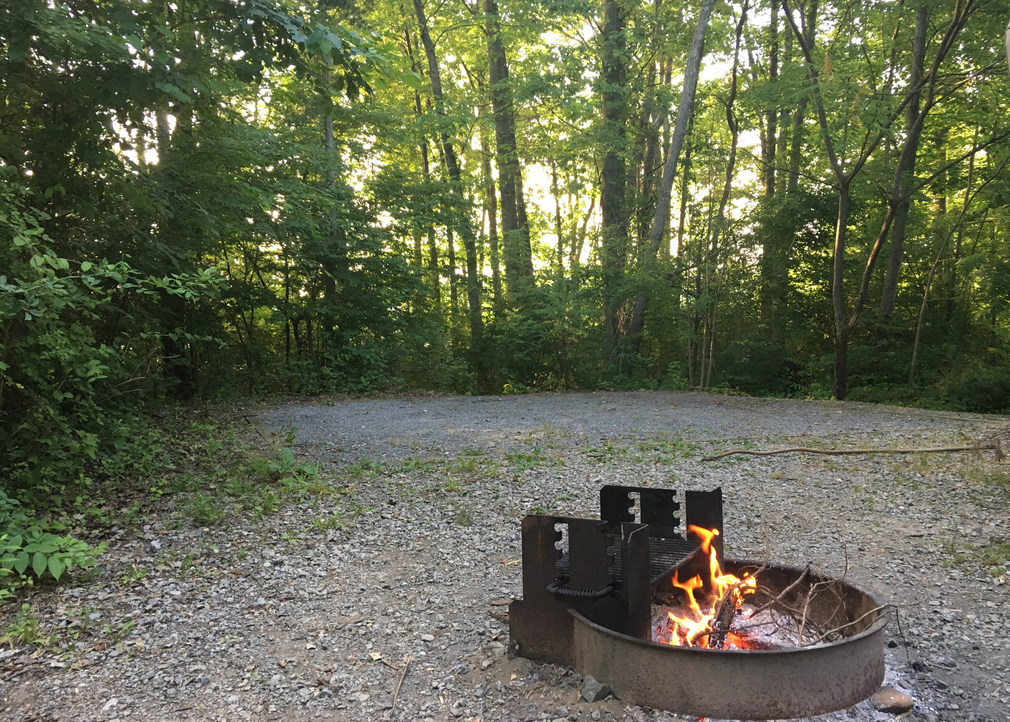 Gifford Pinchot State Park Camping The Dyrt
