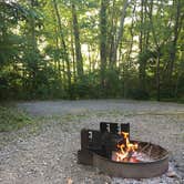 Review photo of Gifford Pinchot State Park Campground by Danielle V., August 22, 2017