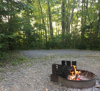 Camper-submitted photo from Gifford Pinchot State Park