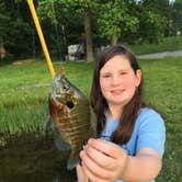 Review photo of Gifford Pinchot State Park Campground by Danielle V., August 22, 2017