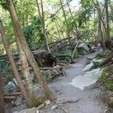 Review photo of Swallow Falls State Park Campground by Danielle V., August 22, 2017